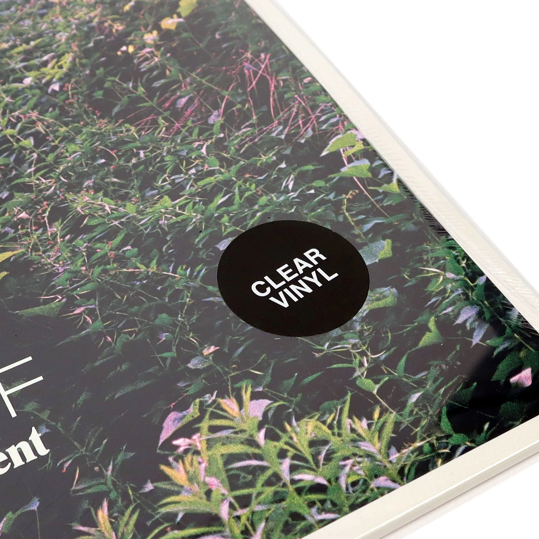 CFCF: Continent (Clear Colored Vinyl) Vinyl LP - Image 4