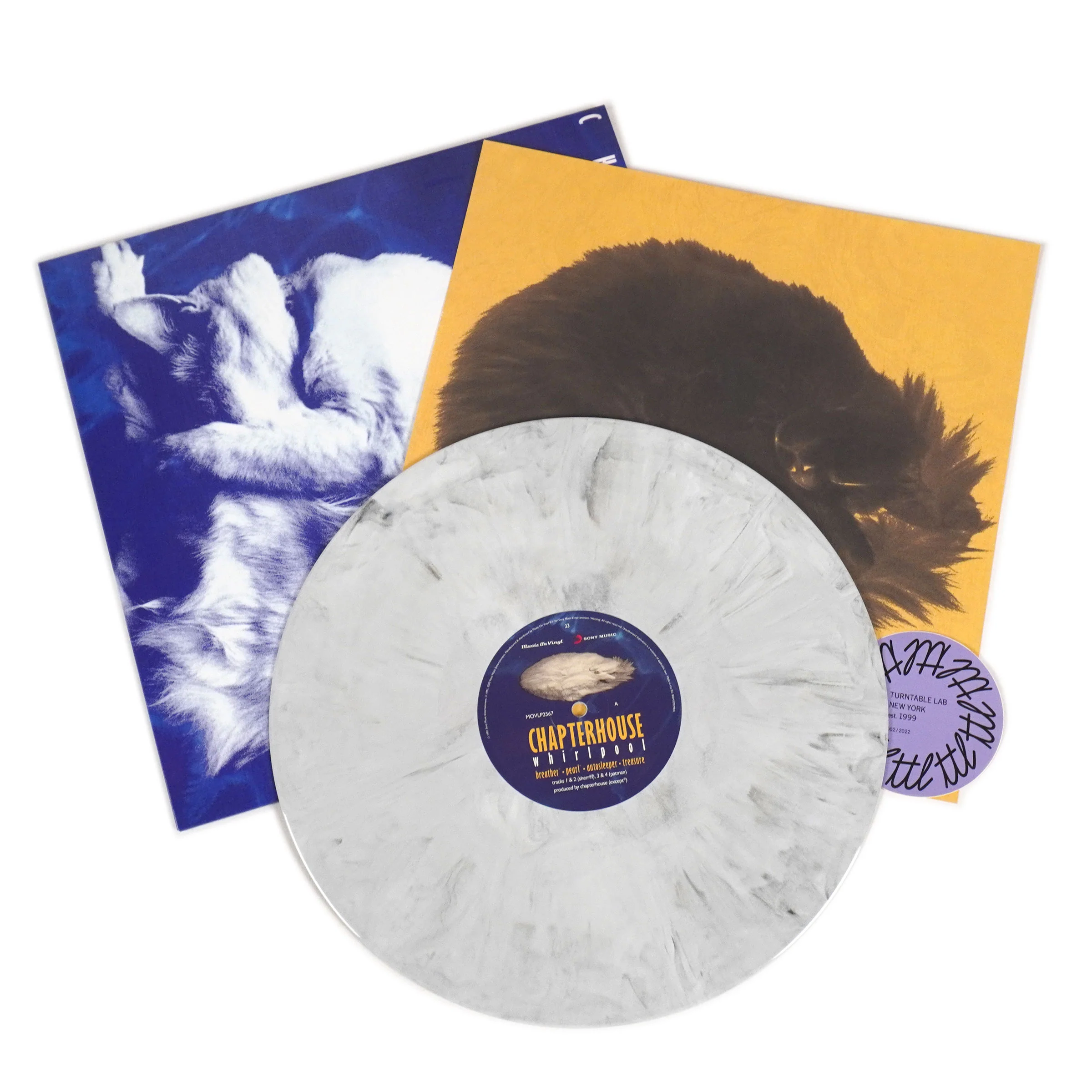 Chapterhouse: Whirlpool (180g, Marble Colored Vinyl) Vinyl LP - Image 2