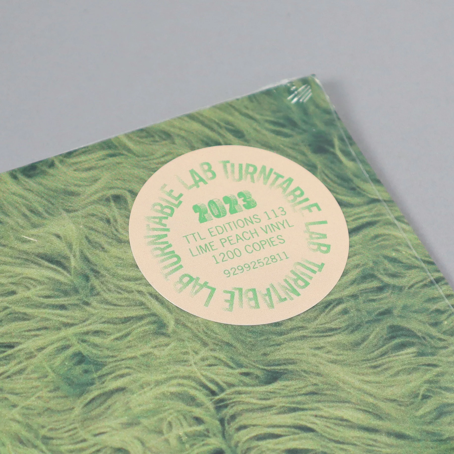 Clairo: Diary 001 - 5th Anniversary (Colored Vinyl) Vinyl LP - Turntable Lab Exclusive - LIMIT 1 PER CUSTOMER - Image 5