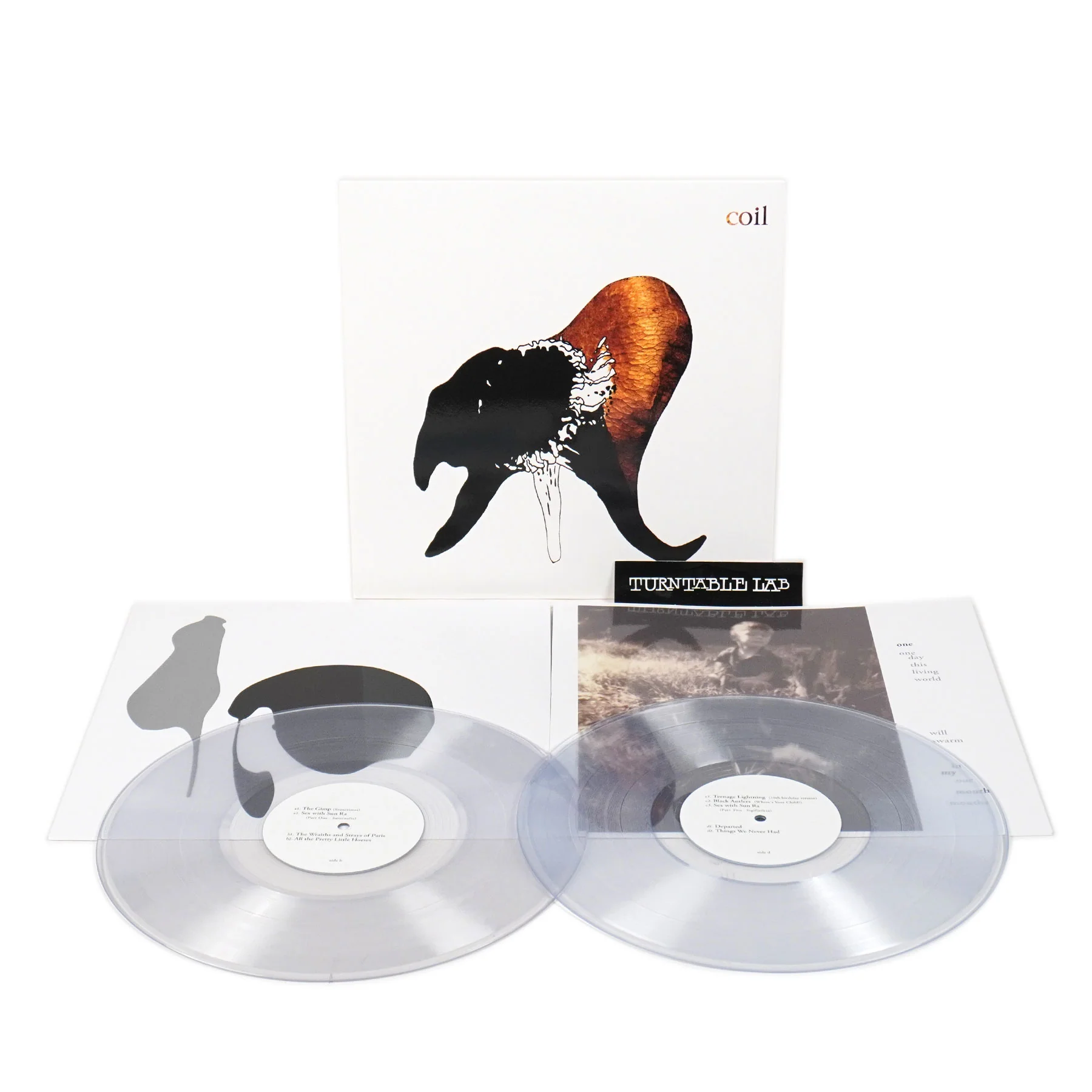 Coil: Black Antlers (Colored Vinyl) Vinyl LP - Image 2