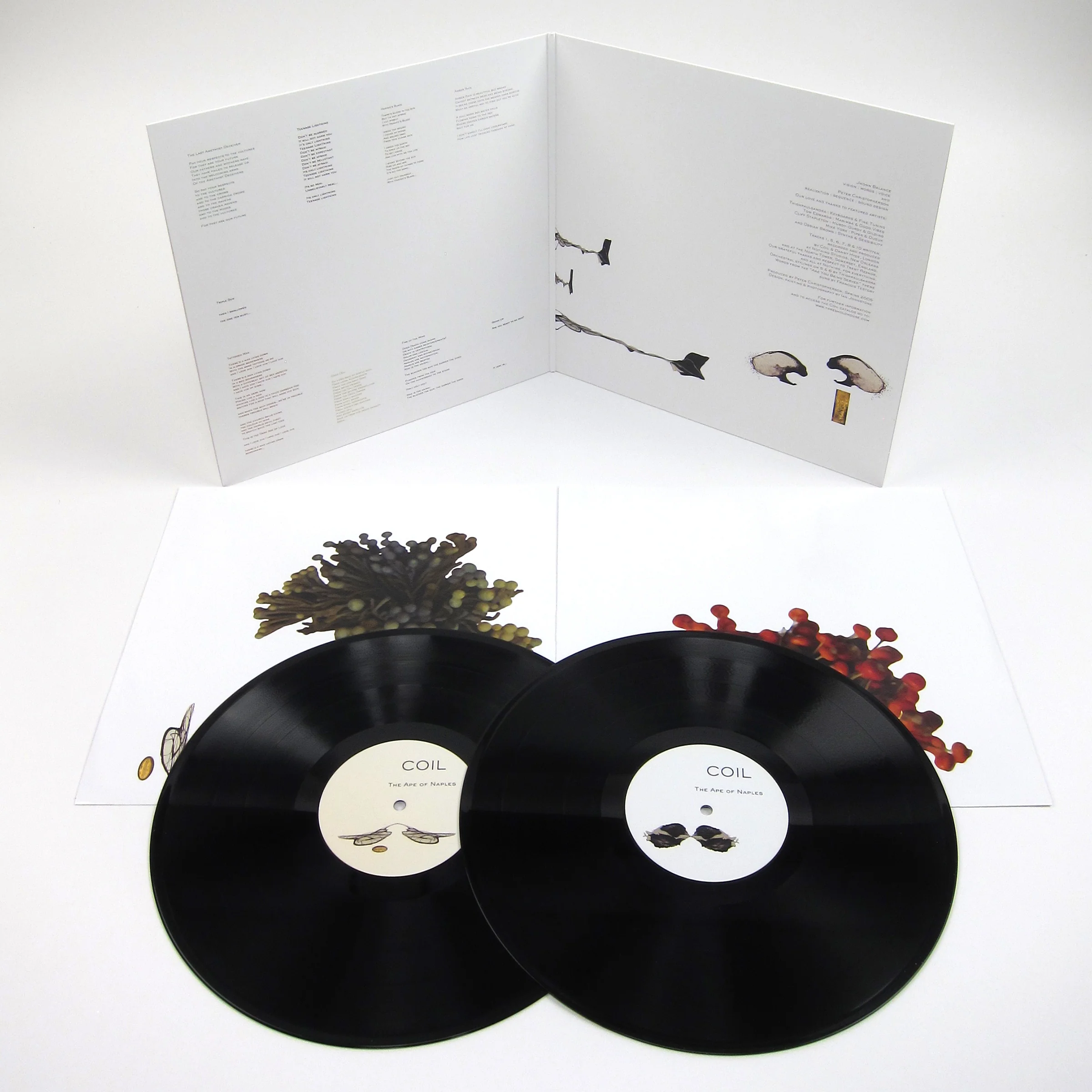 Coil: The Ape Of Naples Vinyl 2LP - Image 2