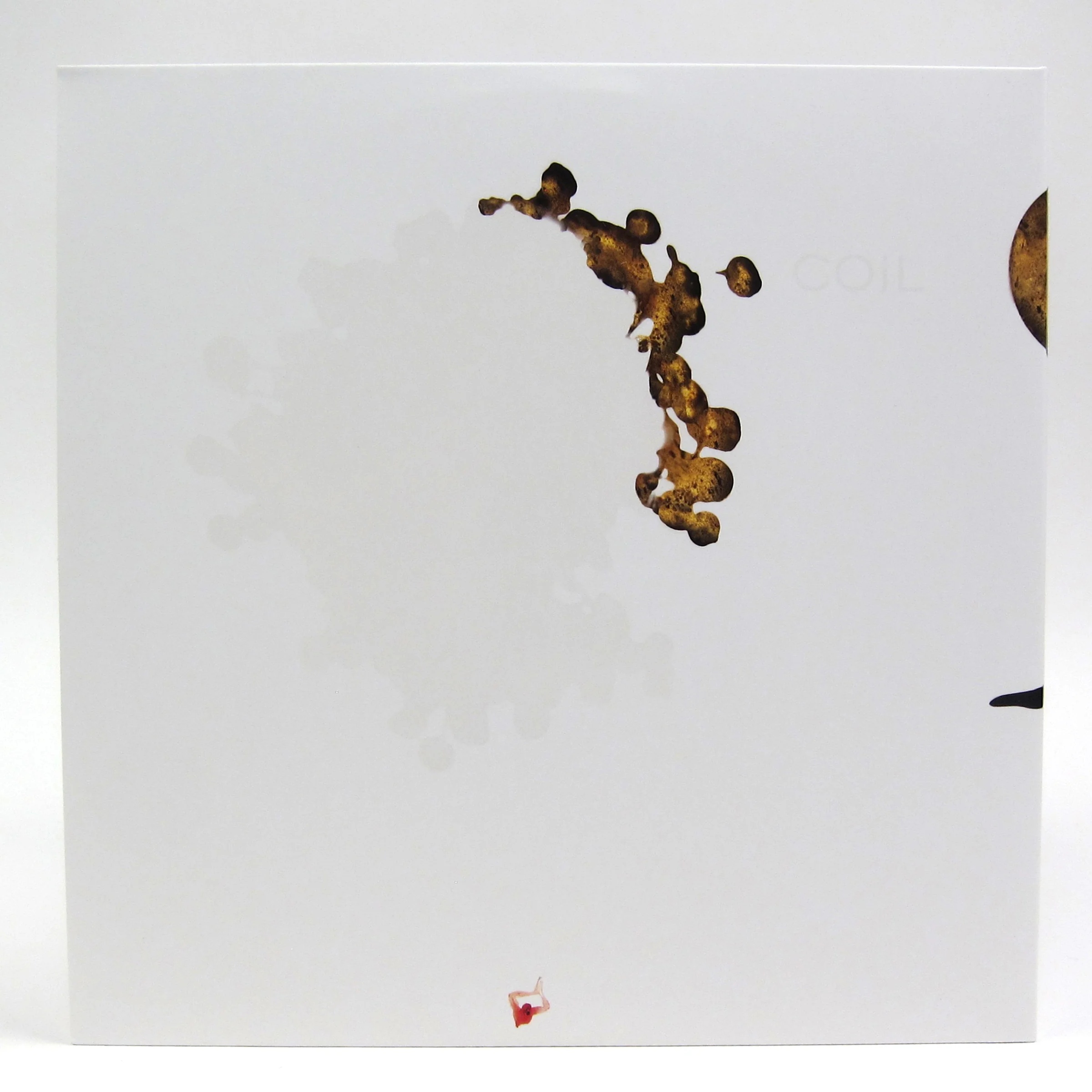 Coil: The Ape Of Naples Vinyl 2LP - Image 3