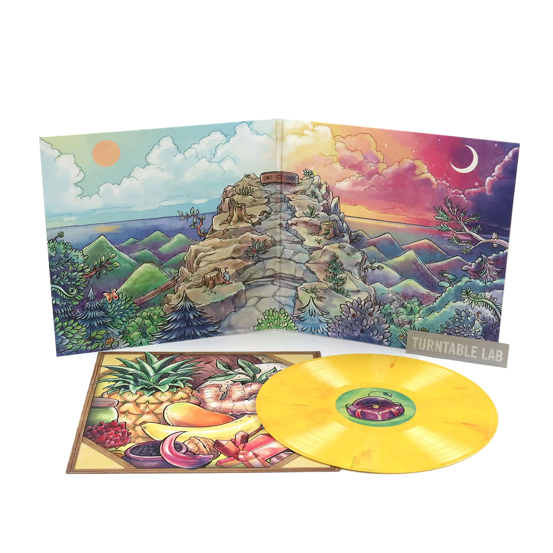 ConcernedApe: Stardew Valley 1.4 & 1.5 Soundtrack (Colored Vinyl) Vinyl LP - Image 2