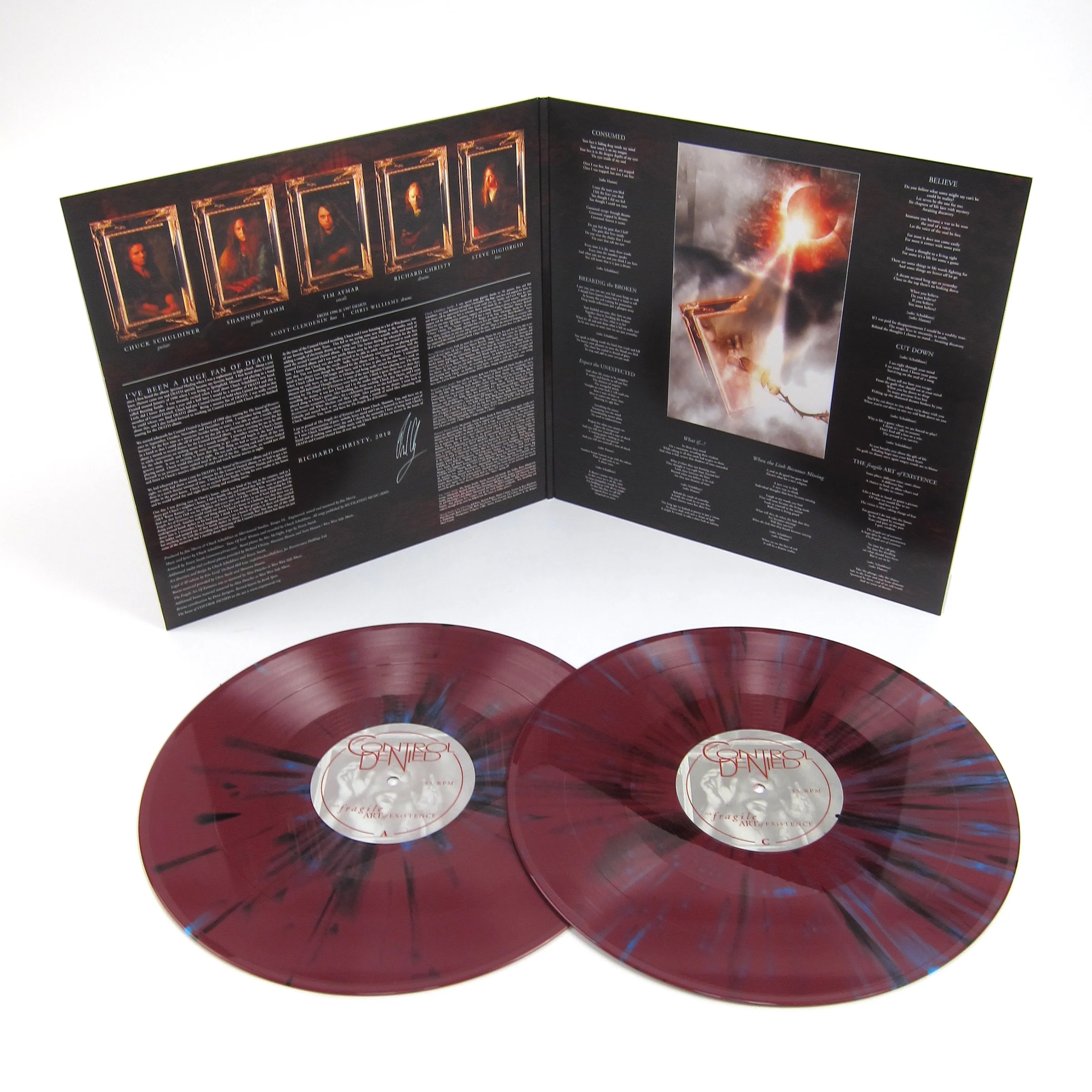Control Denied: The Fragile Art of Existence (Indie Exclusive Colored Vinyl) Vinyl 2LP - Image 2