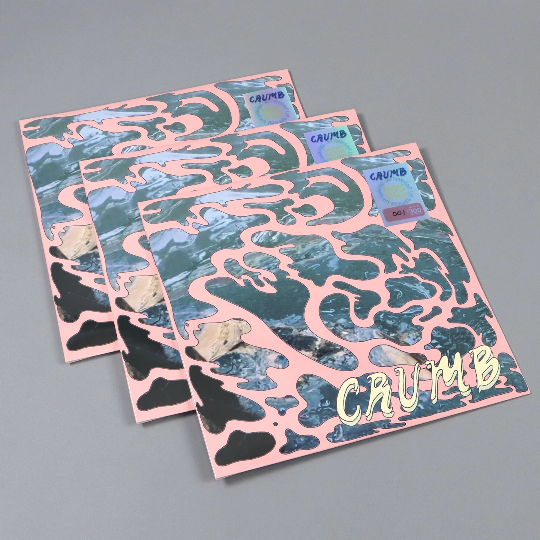 Crumb: Crumb / Locket (Colored Vinyl) Vinyl LP - Turntable Lab Exclusive - LIMIT 1 PER CUSTOMER - Image 5