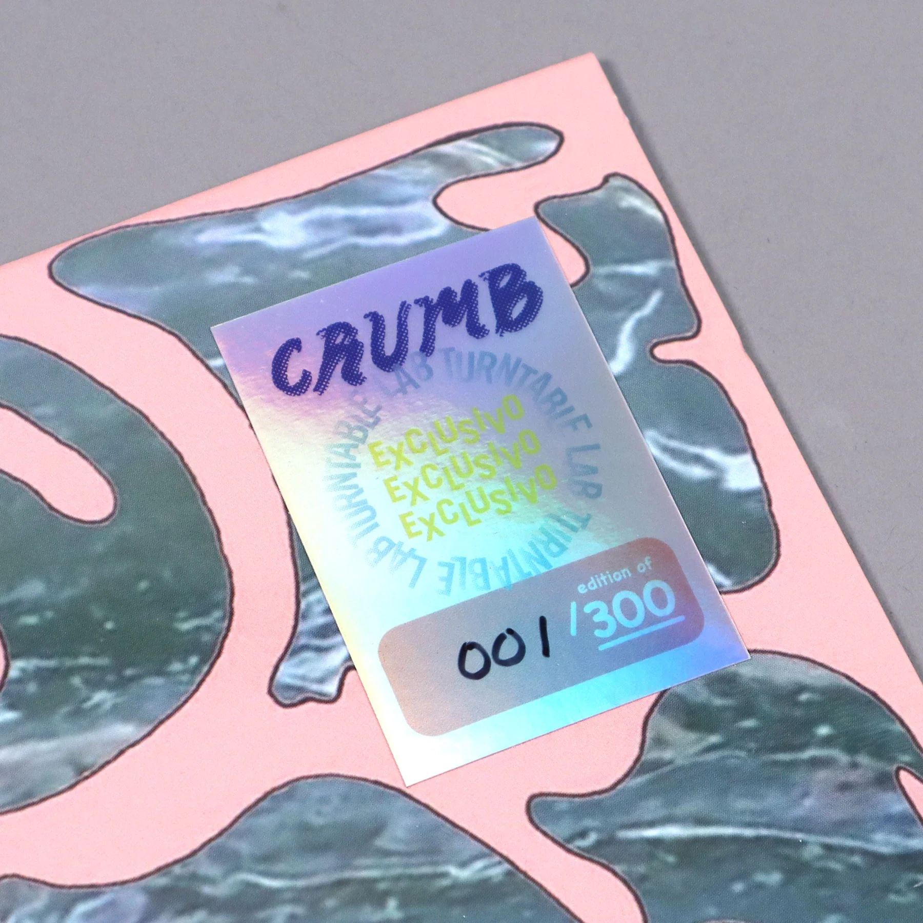 Crumb: Crumb / Locket (Colored Vinyl) Vinyl LP - Turntable Lab Exclusive - LIMIT 1 PER CUSTOMER - Image 6