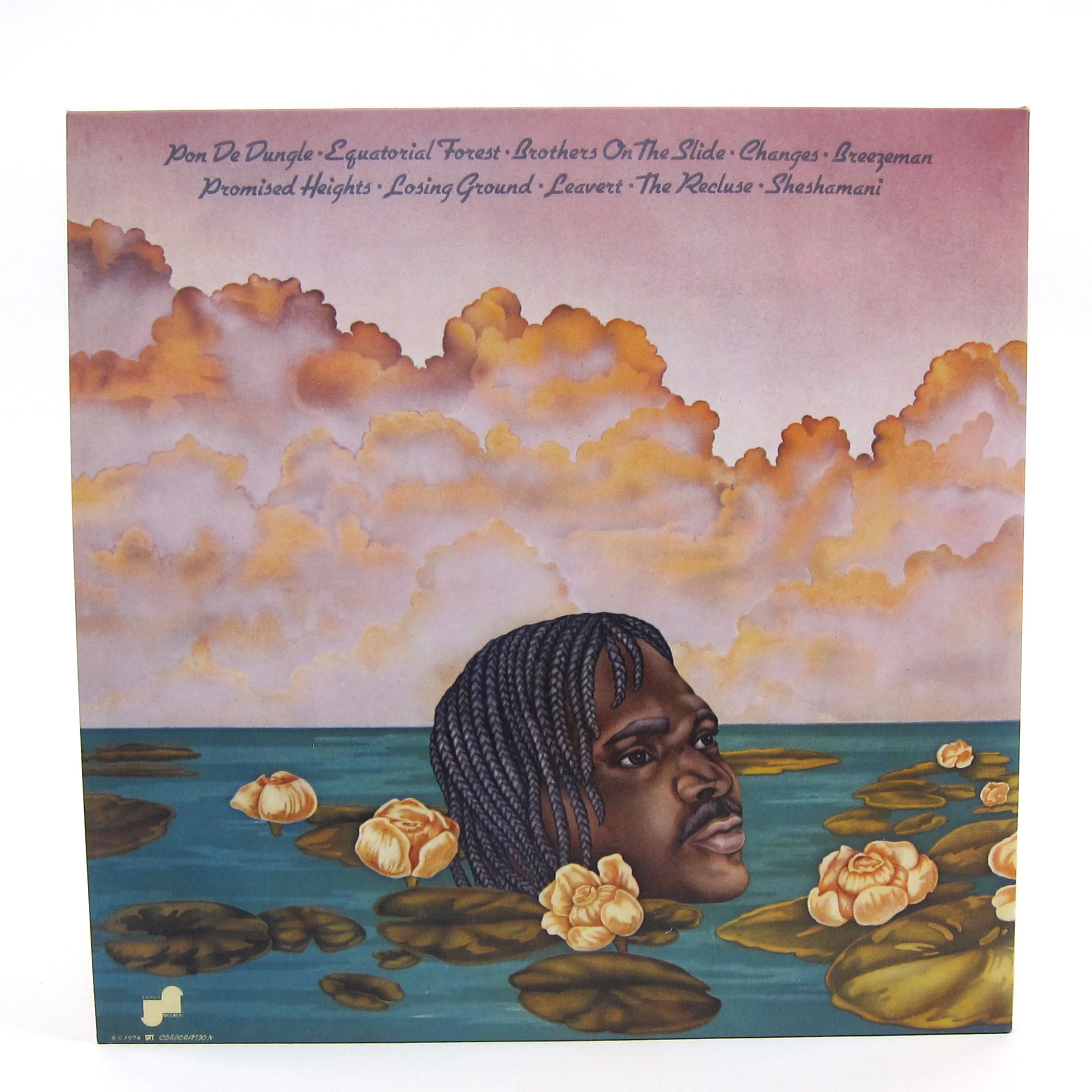 Cymande: Promised Heights (180g) Vinyl LP - Image 3