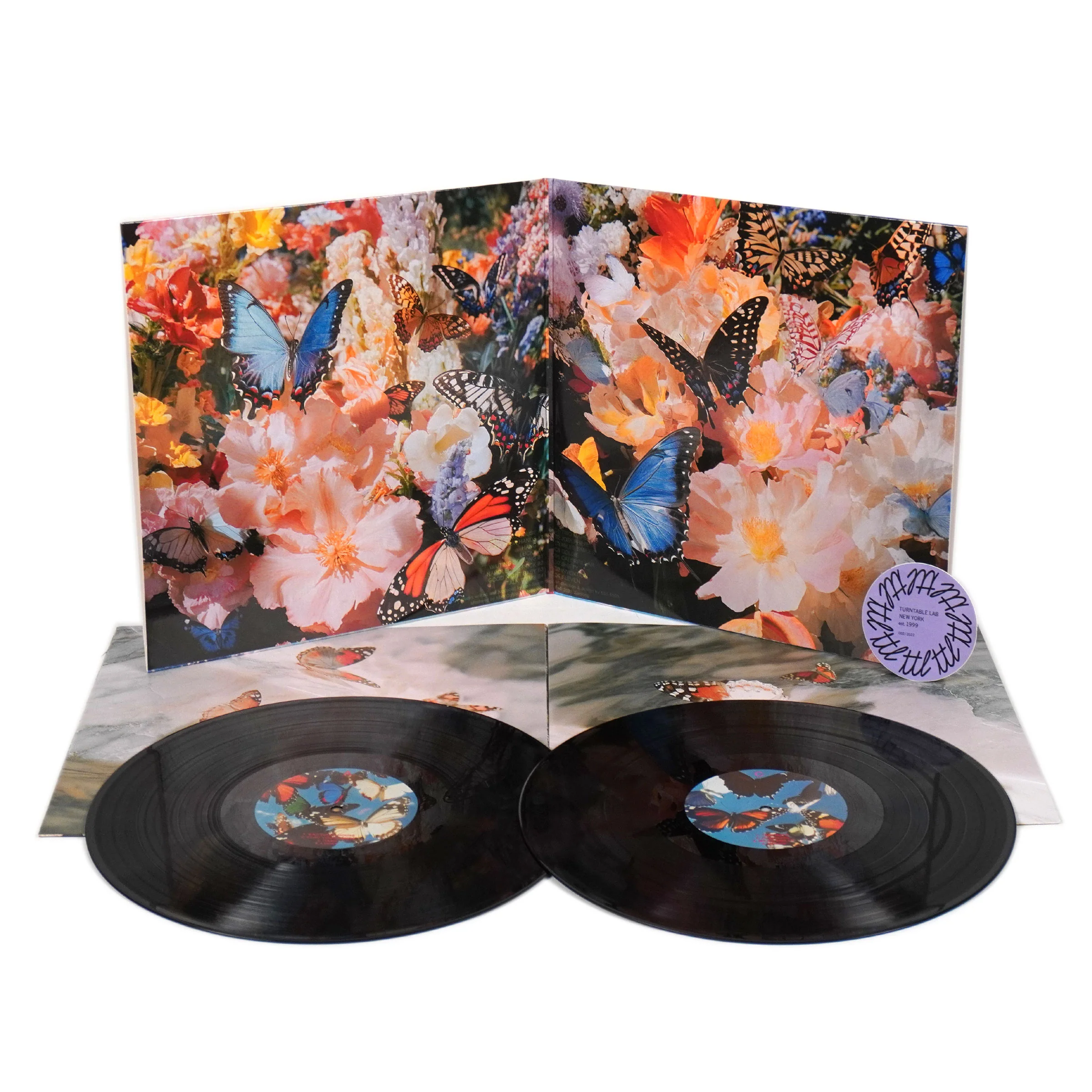 Daphni: Butterfly Vinyl 2LP - Image 2