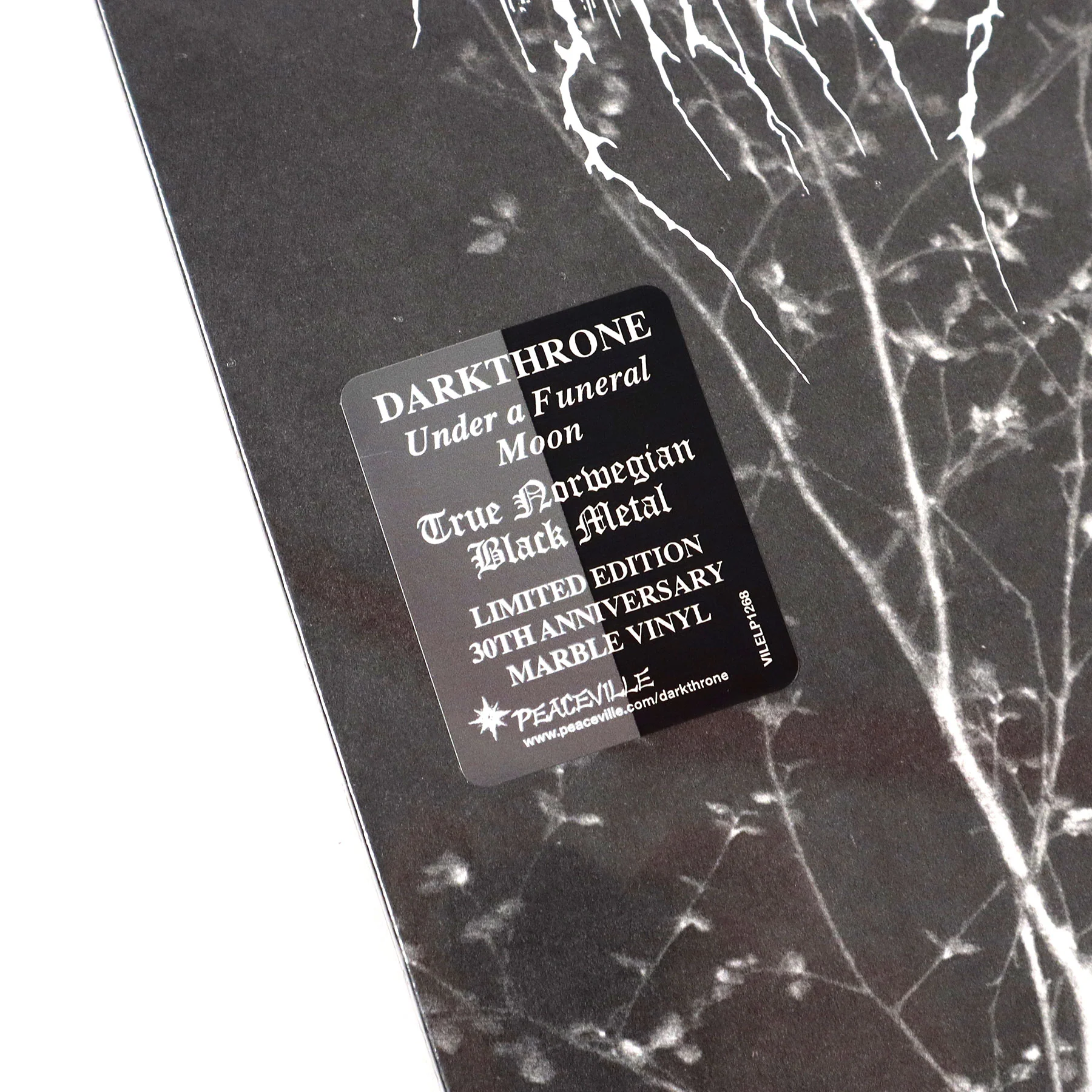 Darkthrone: Under A Funeral Moon (Colored Vinyl) Vinyl LP - Image 4
