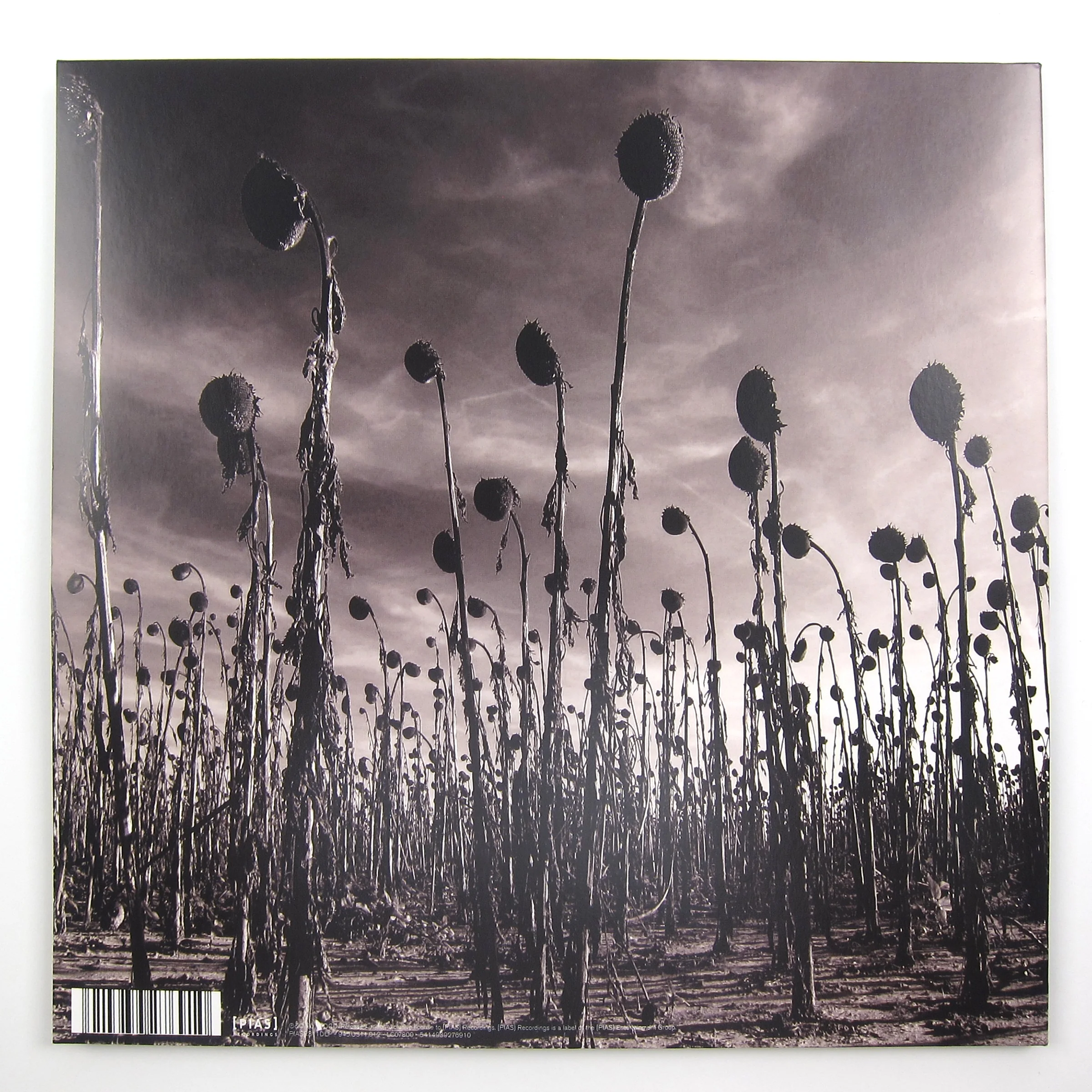 Dead Can Dance: Anastasis Vinyl 2LP - Image 3