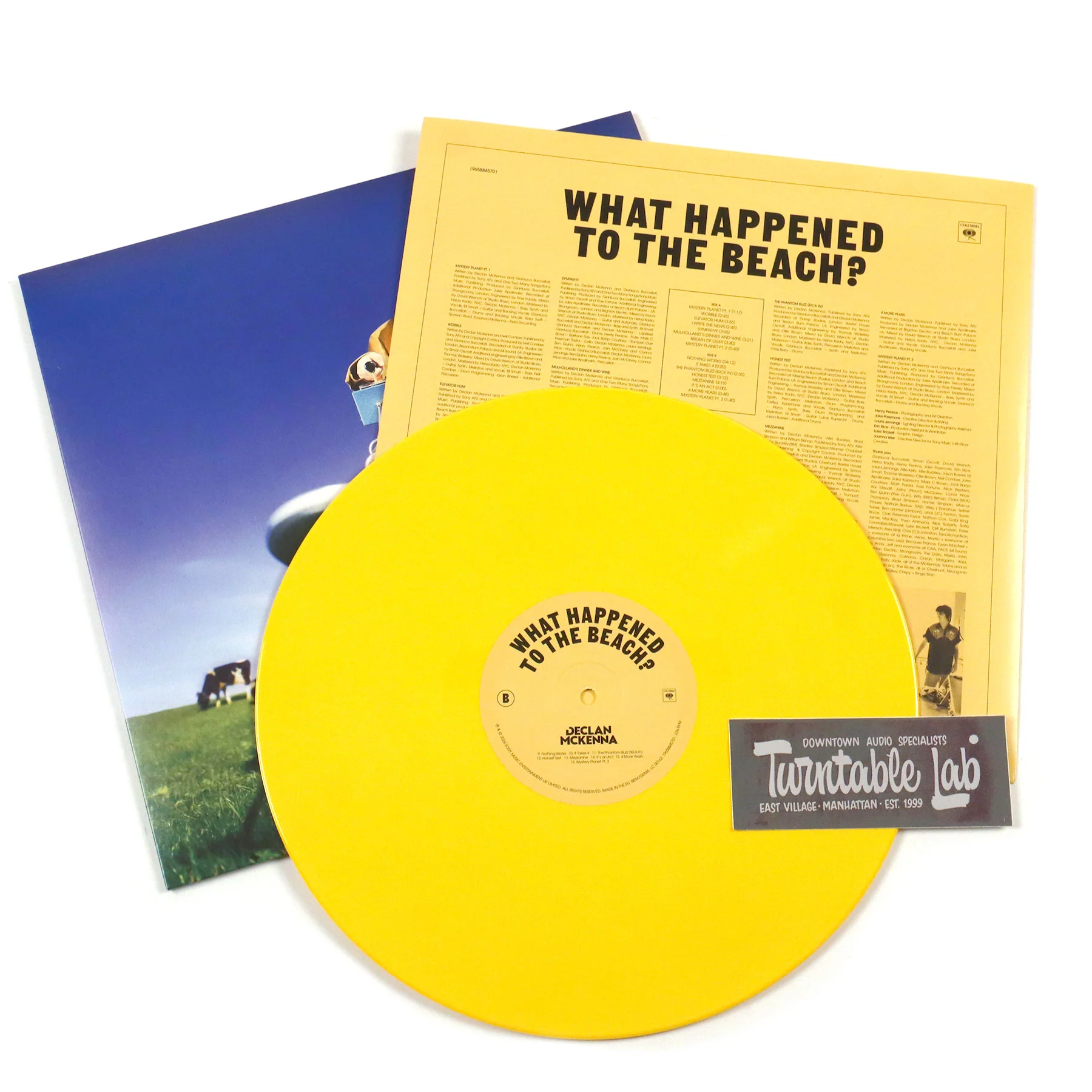 Declan McKenna: What Happened To The Beach? (Indie Exclusive Colored Vinyl) Vinyl LP - Image 2
