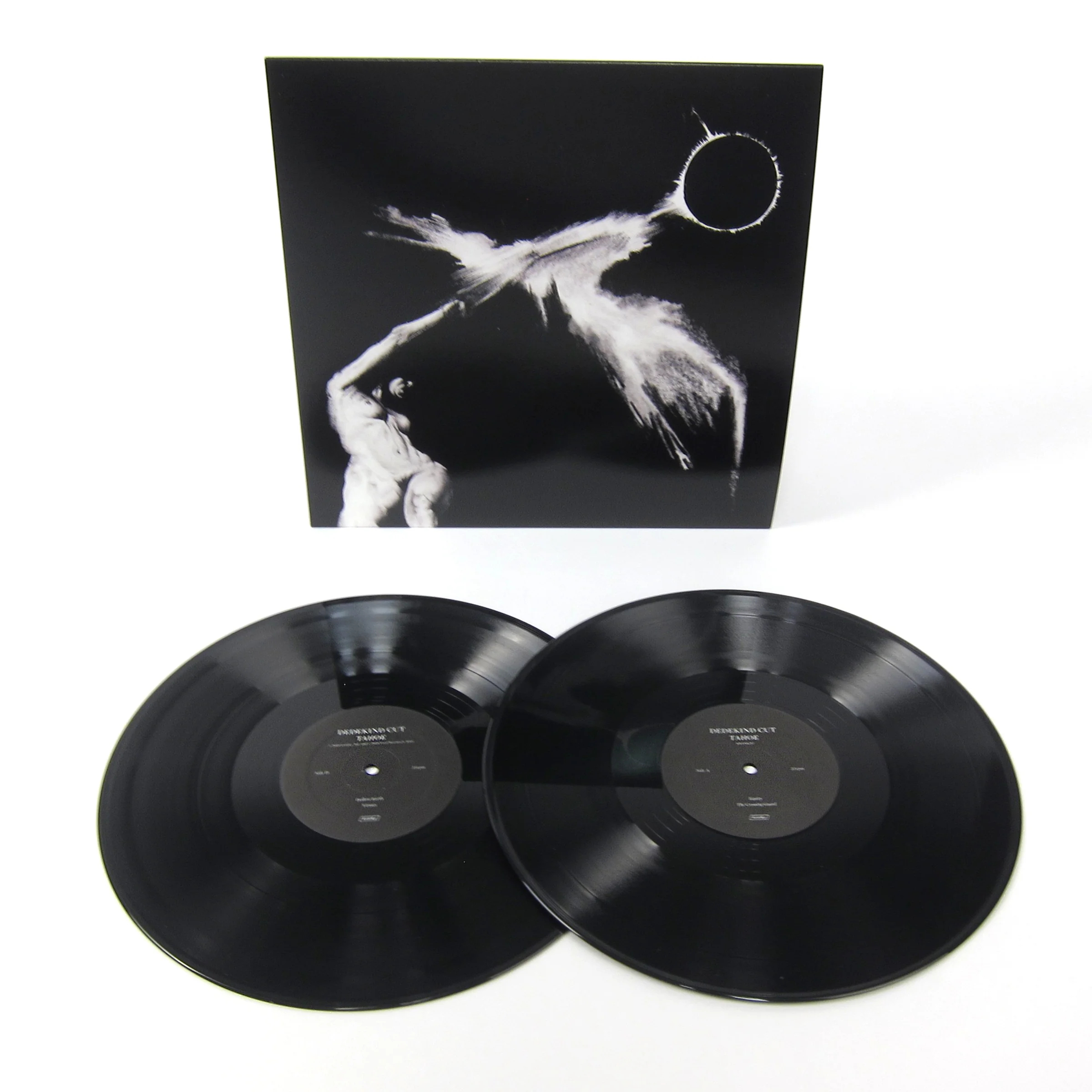 Dedekind Cut: Tahoe Vinyl 2LP - Image 2
