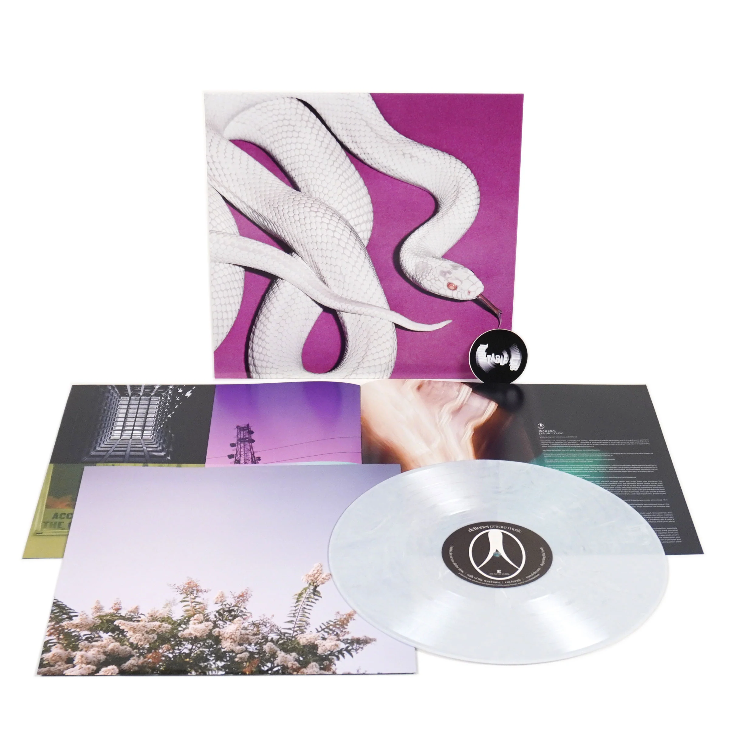 Deftones: Private Music (Indie Exclusive Fog Colored Vinyl) Vinyl LP - Image 2