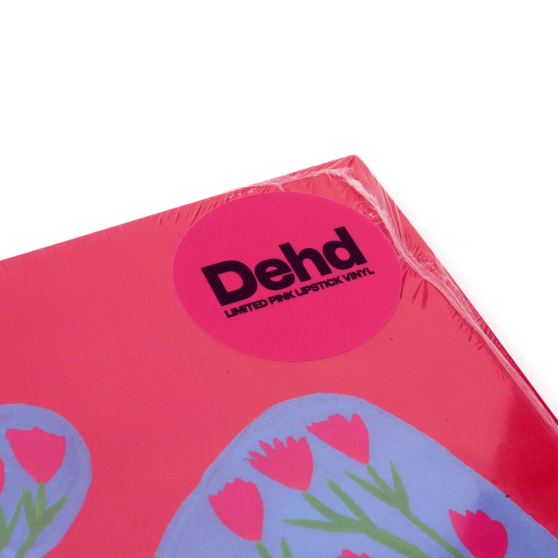 Dehd: Blue Skies (Indie Exclusive Colored Vinyl) Vinyl LP - Image 4