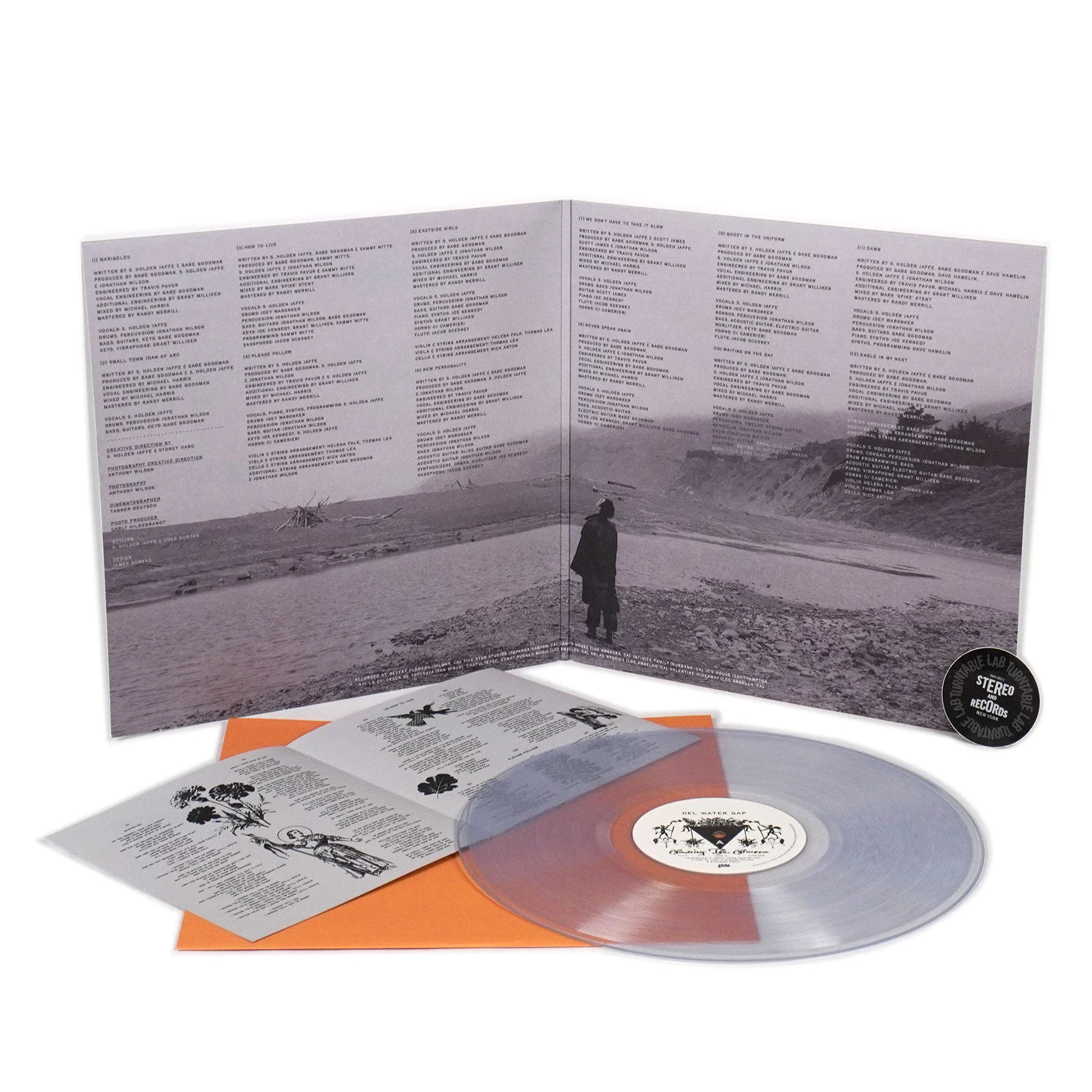 Del Water Gap: Chasing The Chimera (Colored Vinyl) Vinyl LP - Image 2