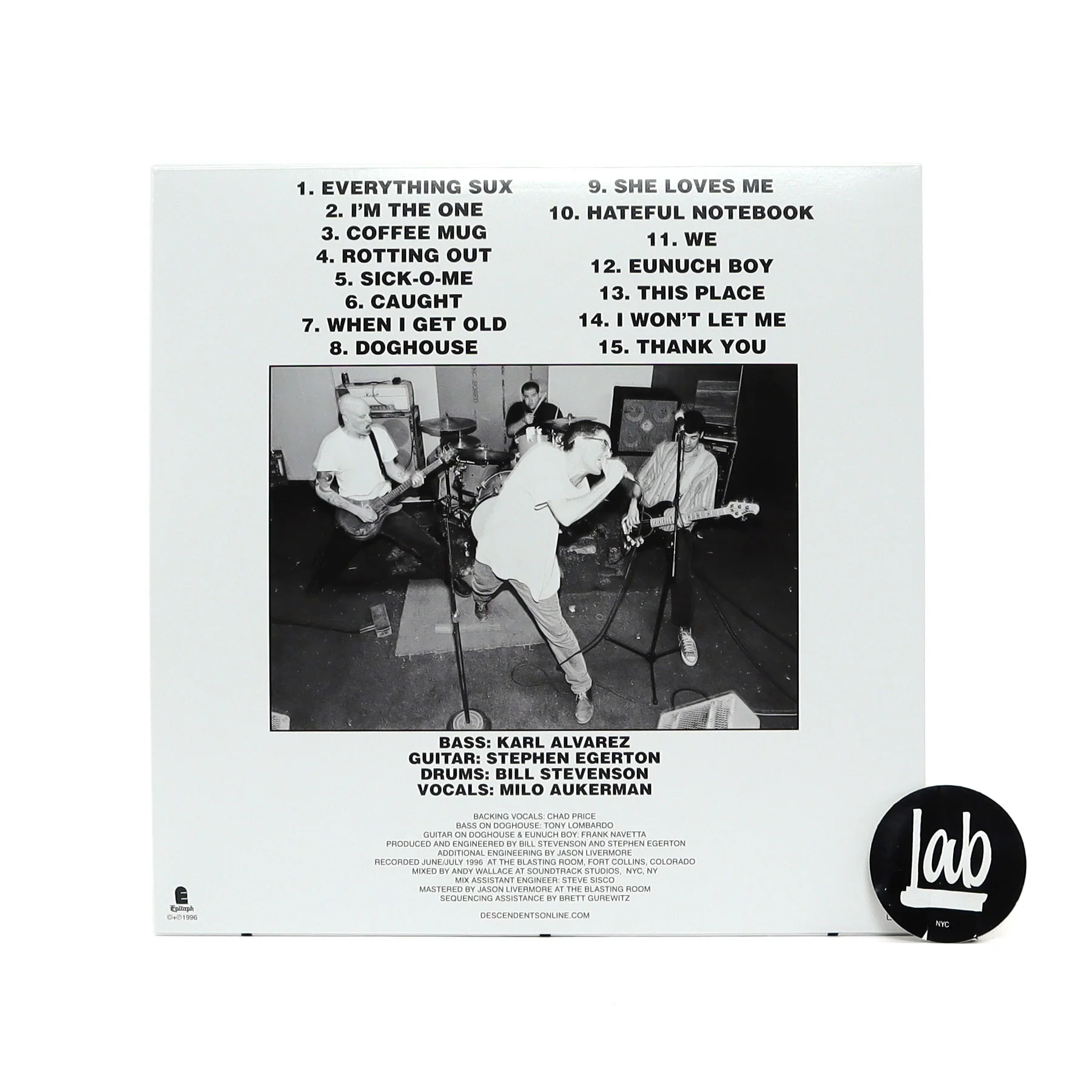 Descendents: Everything Sucks Vinyl LP - Image 3