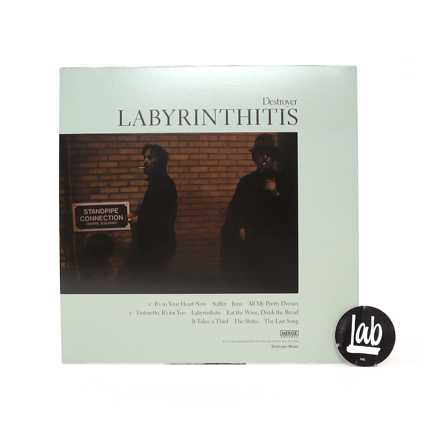 Destroyer: Labyrinthitis (Indie Exclusive Colored Vinyl) Vinyl LP - Image 3
