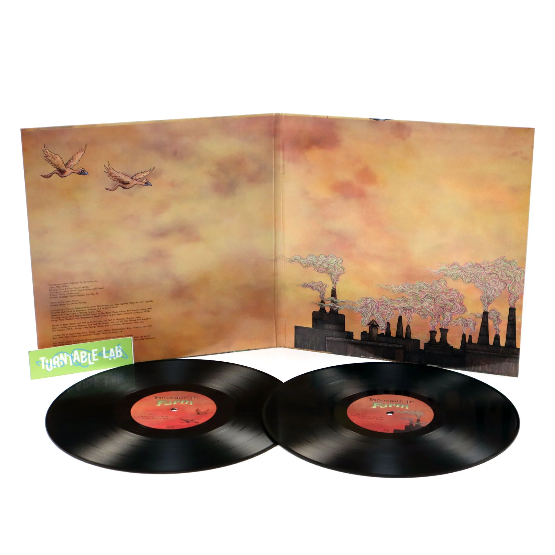 Dinosaur Jr.: Farm Vinyl 2LP - Image 2