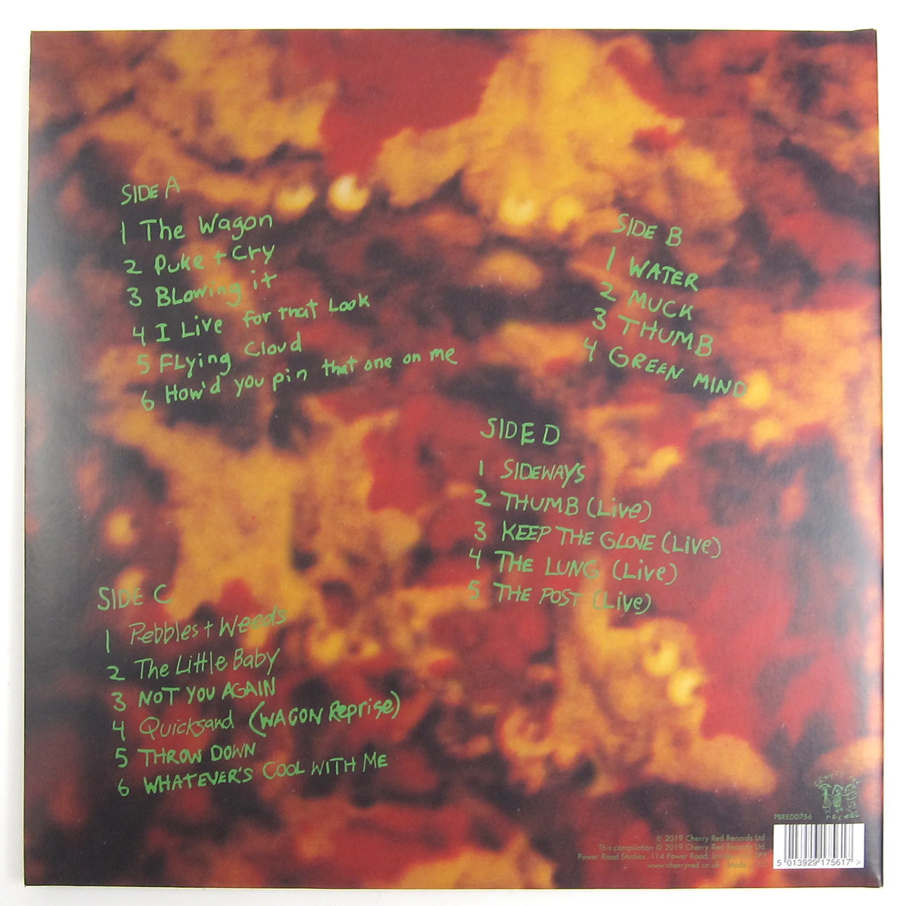Dinosaur Jr.: Green Mind - Deluxe Expanded Edition (Colored Vinyl) Vinyl 2LP - Image 3