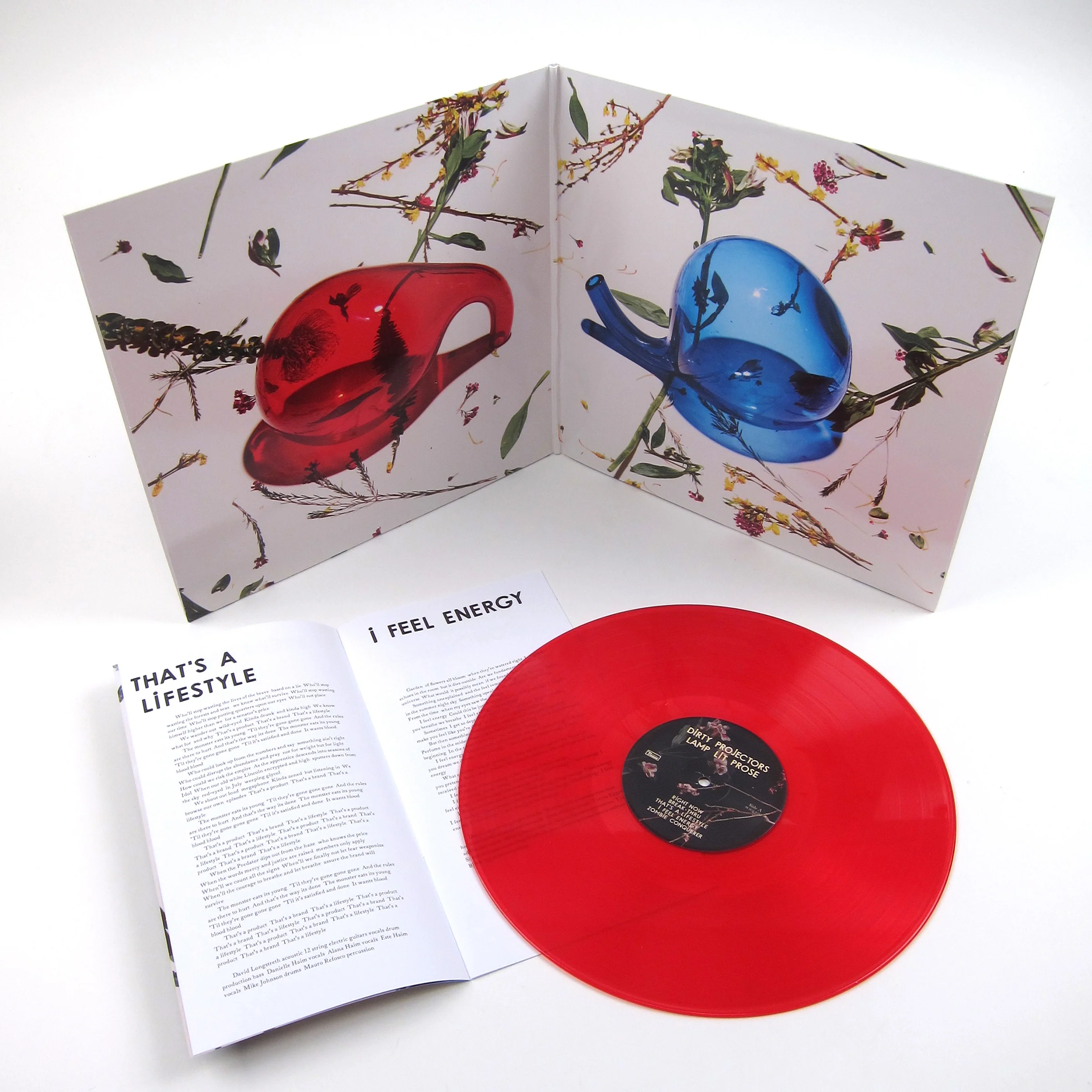 Dirty Projectors: Lamp Lit Prose (Indie Exclusive Colored Vinyl) Vinyl LP - Image 2