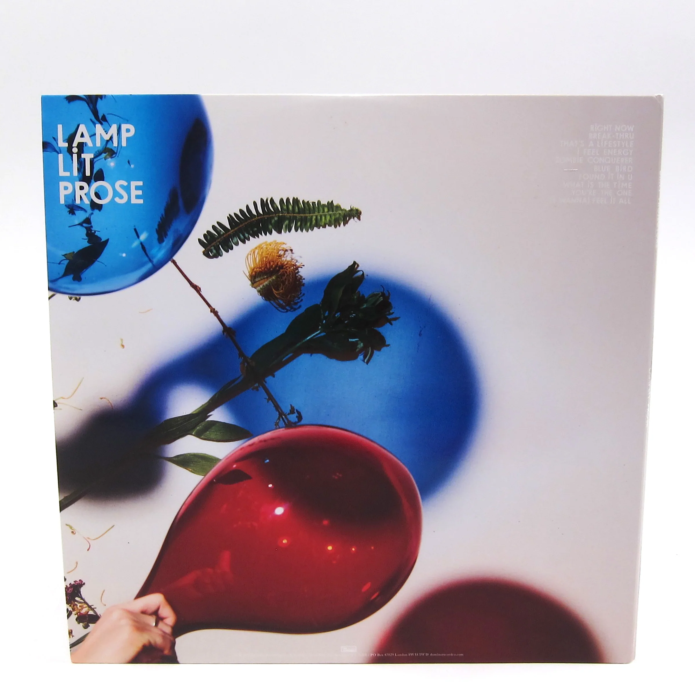 Dirty Projectors: Lamp Lit Prose (Indie Exclusive Colored Vinyl) Vinyl LP - Image 3