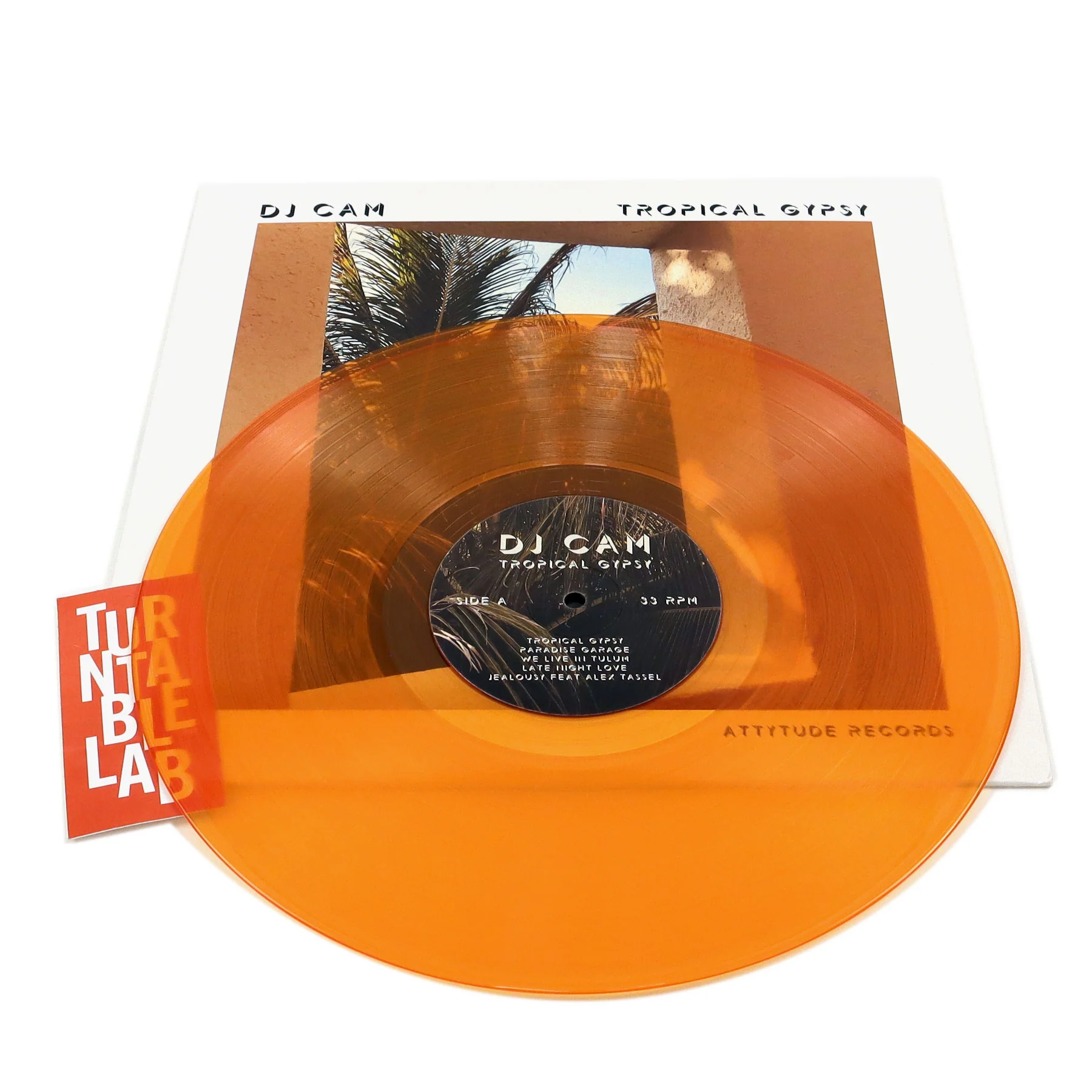 DJ Cam: Tropical Gypsy (Colored Vinyl) Vinyl LP - Image 2