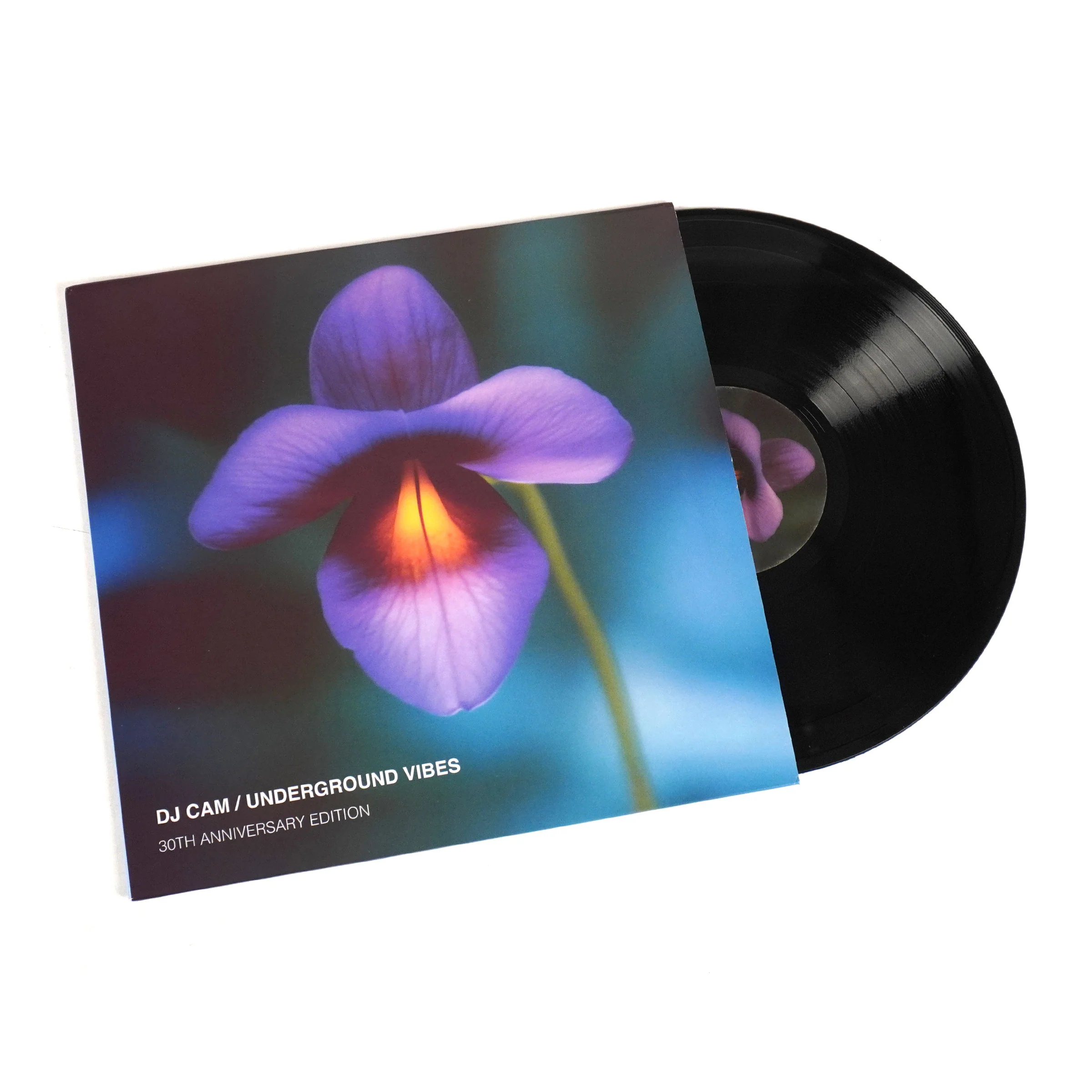 DJ Cam: Underground Vibes - 30th Anniversary Edition (180g) Vinyl LP