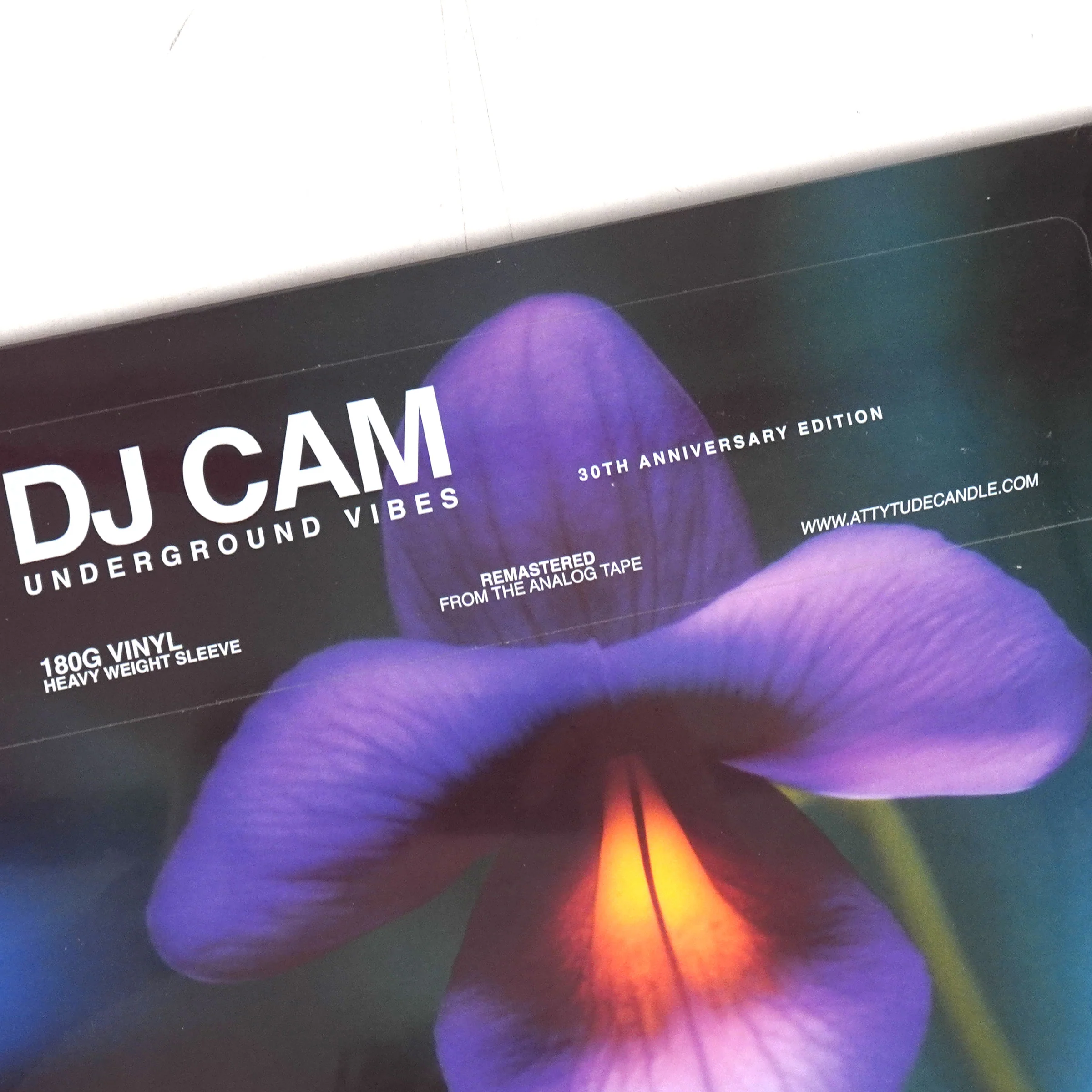 DJ Cam: Underground Vibes - 30th Anniversary Edition (180g) Vinyl LP - Image 3