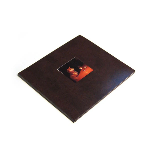DJ Day: Land of 1000 Chances Deluxe CD / LP - Image 3
