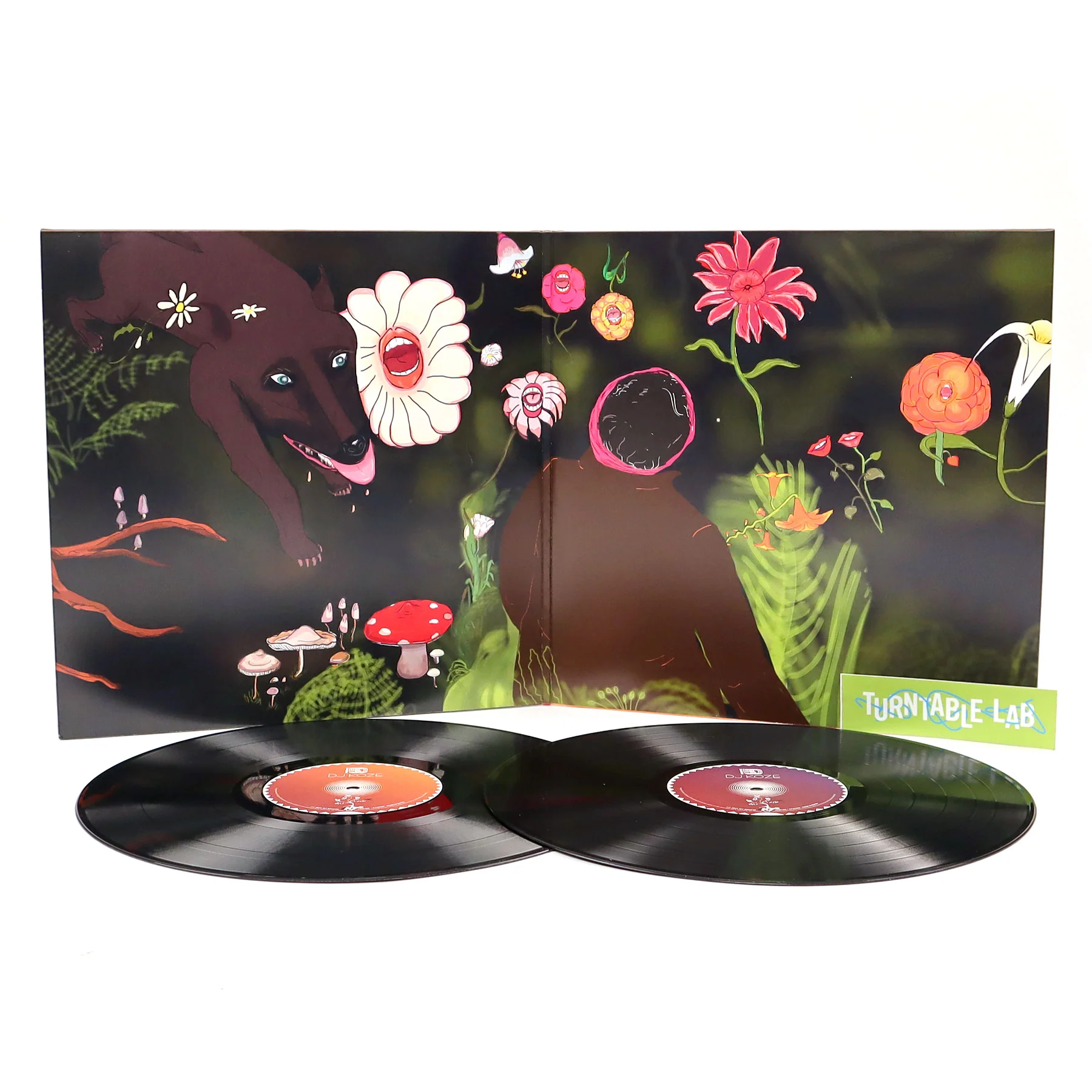 DJ Koze: DJ-Kicks Vinyl 2LP - Image 2