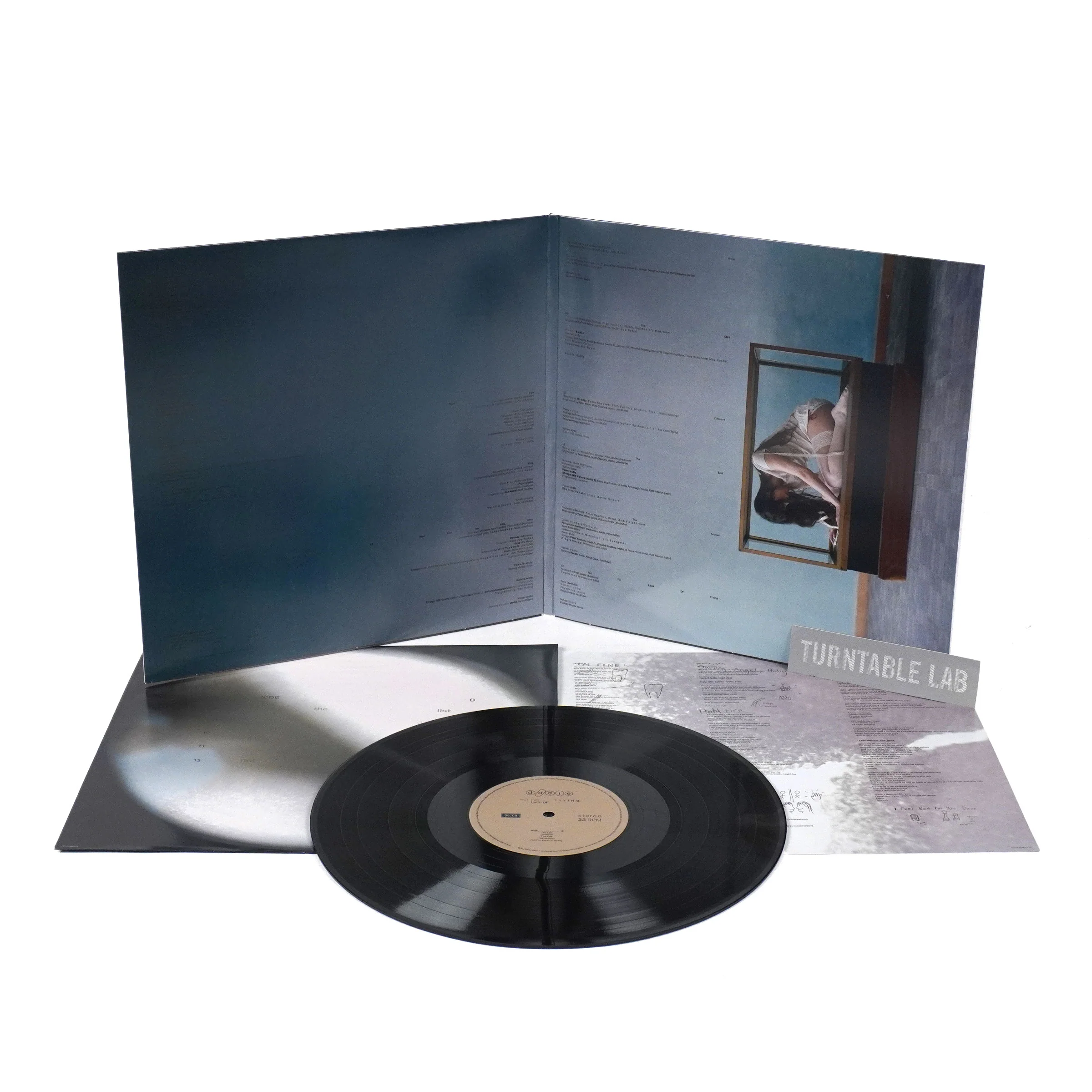 dodie: Not For Lack Of Trying Vinyl LP - Image 2