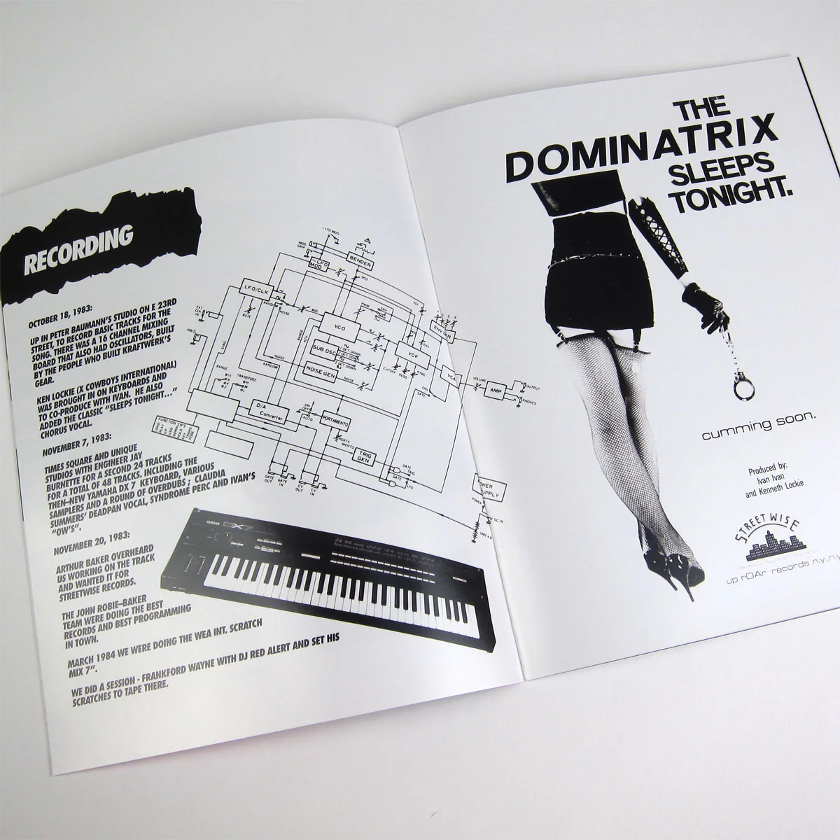 Dominatrix: The Dominatrix Sleeps Tonight (Colored Vinyl) Vinyl LP - Image 3