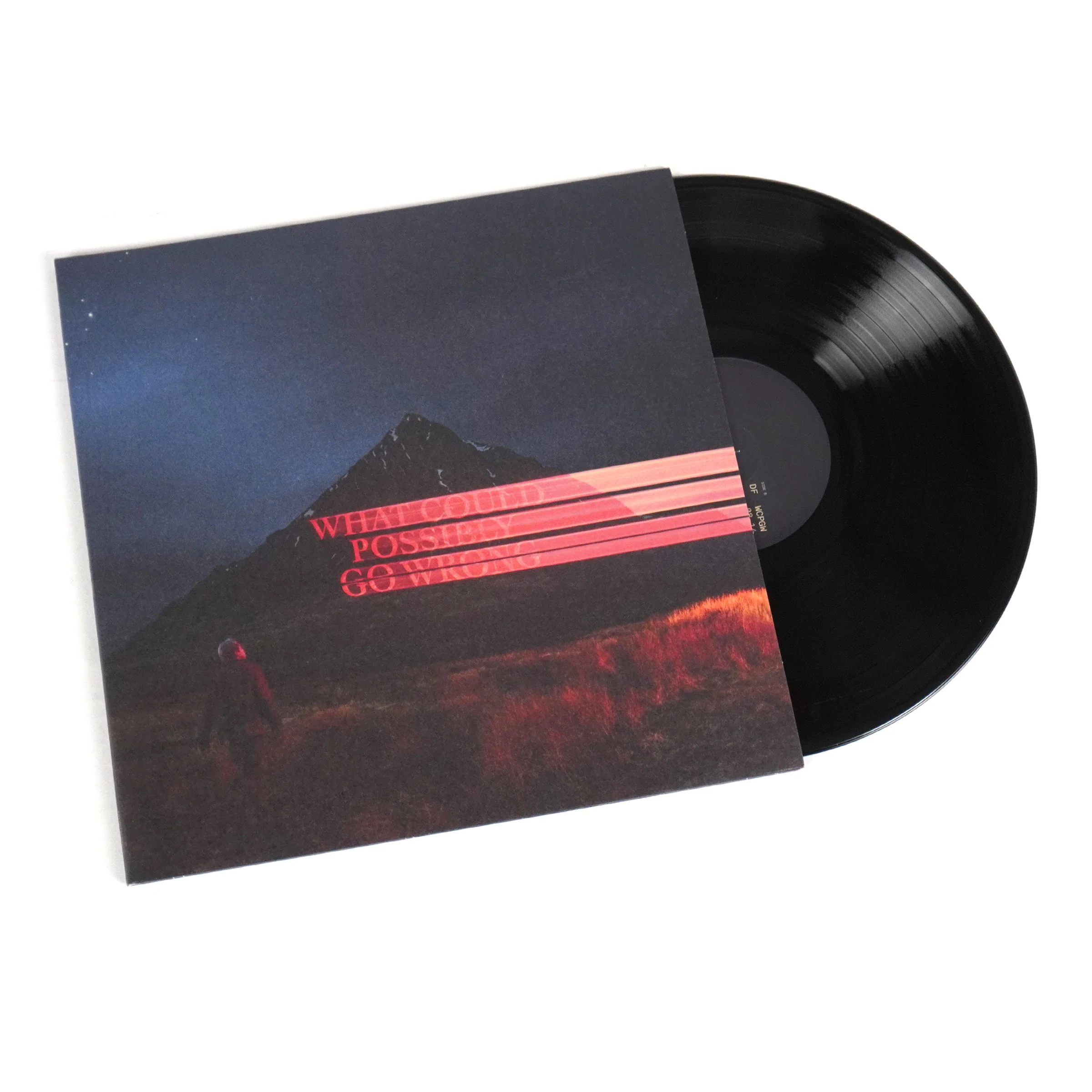 Dominic Fike: What Could Possibly Go Wrong Vinyl LP - Image 5