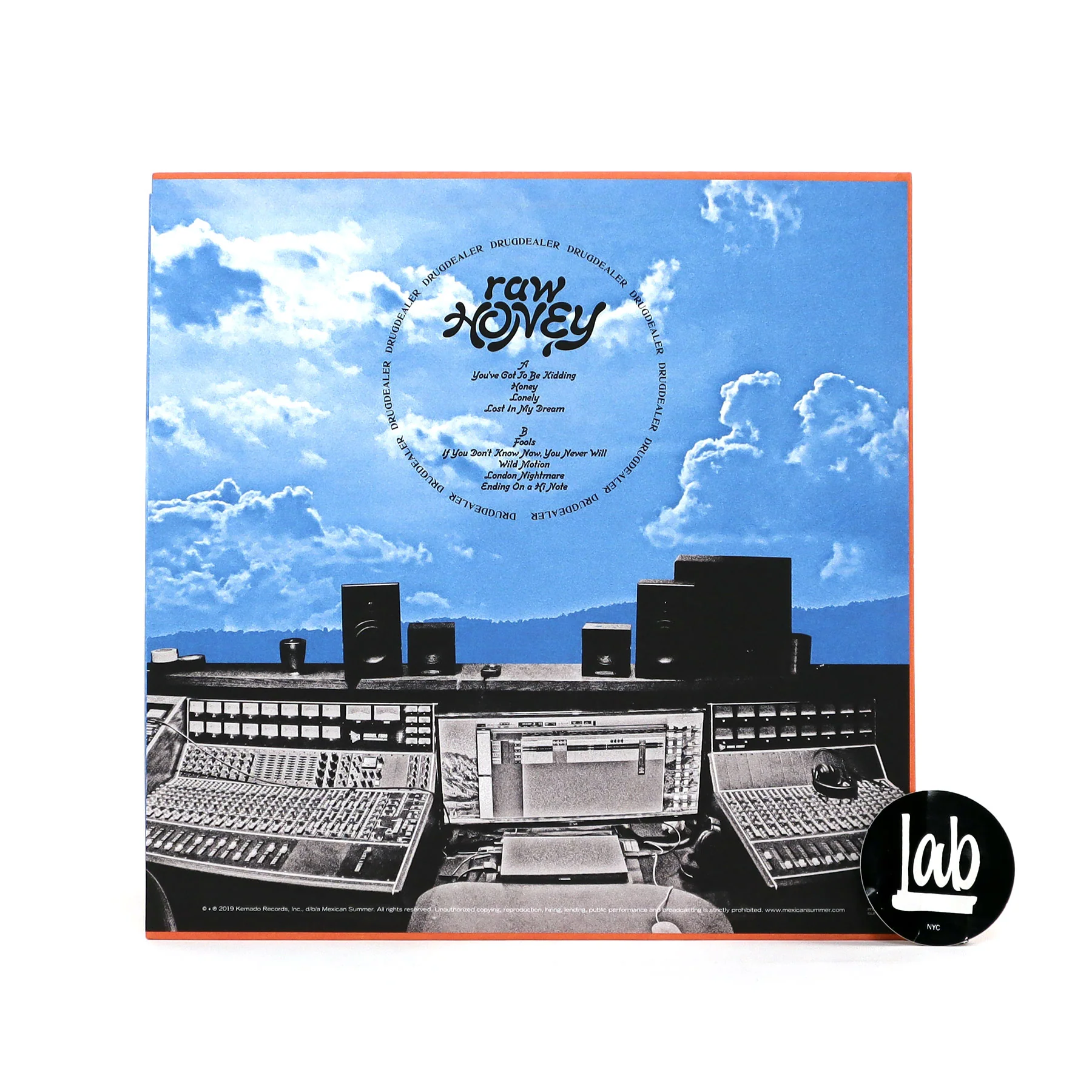 Drugdealer: Raw Honey Vinyl LP - Image 3