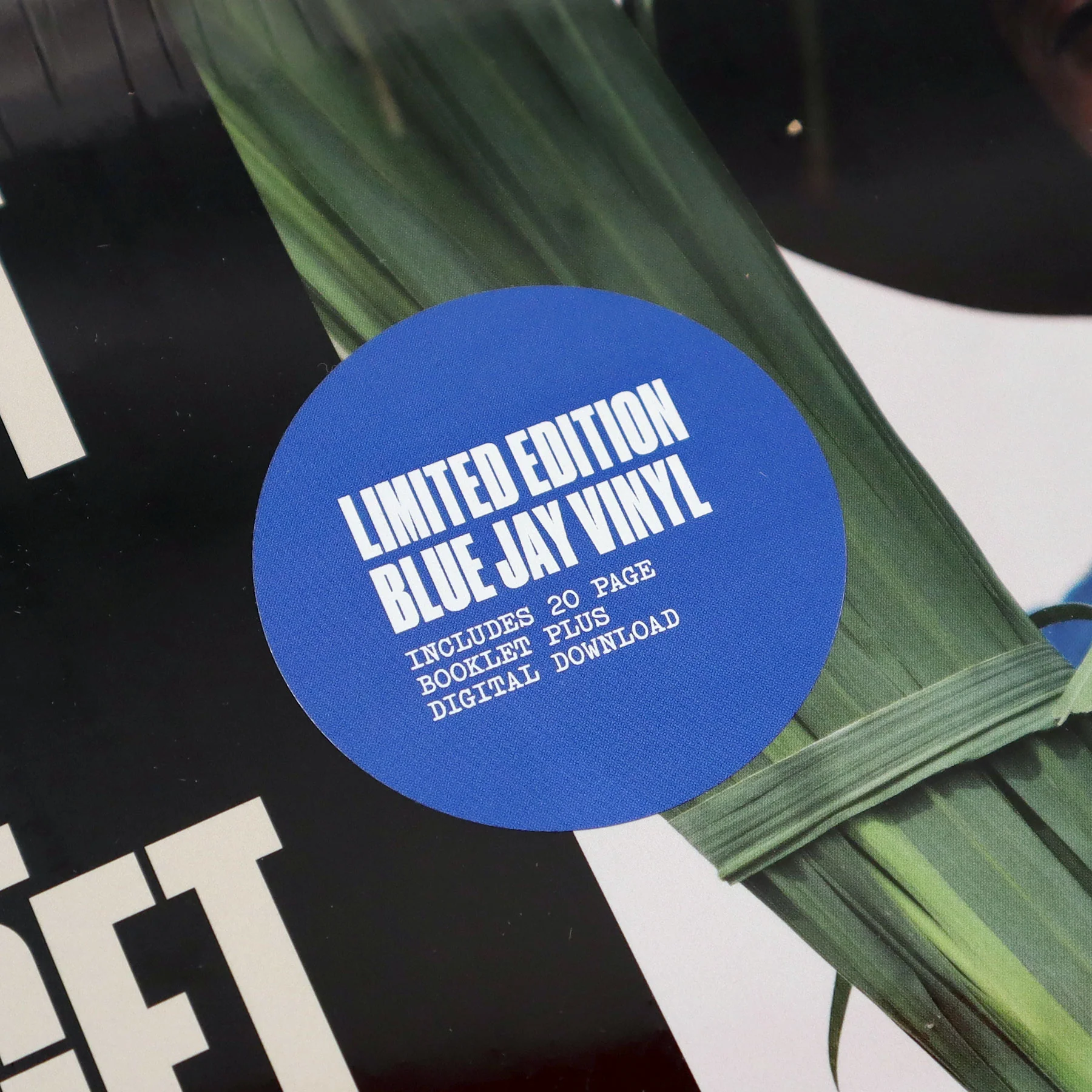 Durand Jones: Wait Til I Get Over (Colored Vinyl) Vinyl LP - Image 4