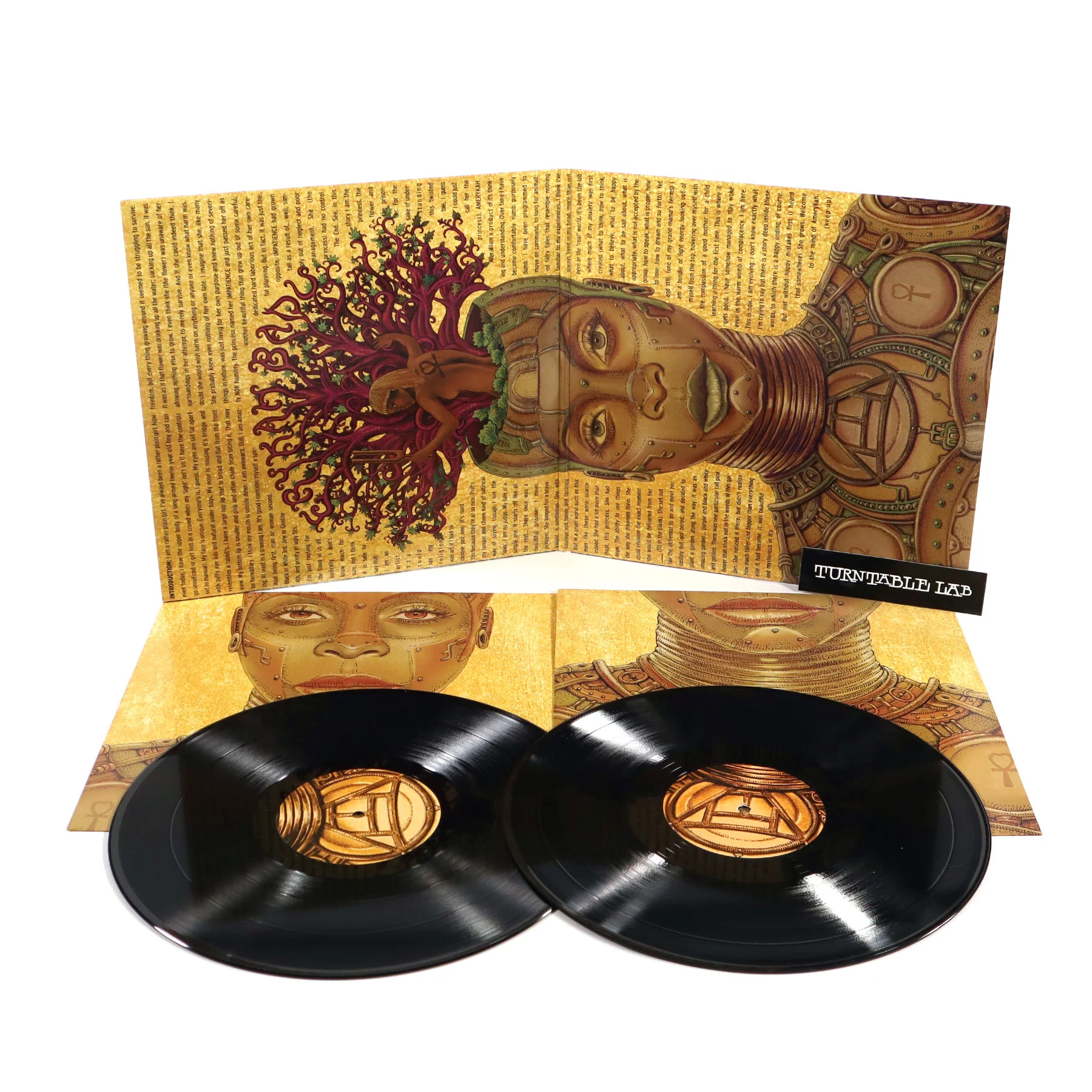 Erykah Badu: New Amerykah, Part Two: Return Of The Ankh Vinyl 2LP - Image 2