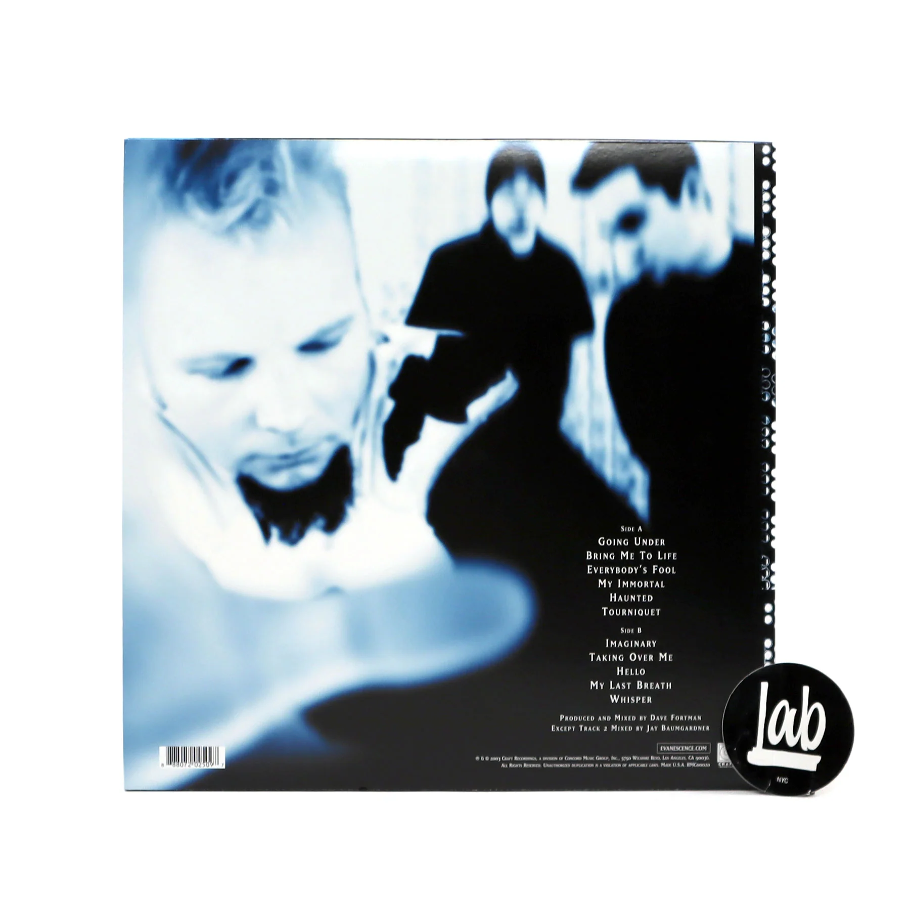 Evanescence: Fallen Vinyl LP - Image 3