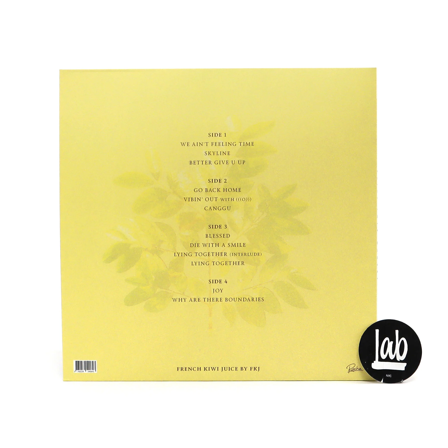 FKJ: French Kiwi Juice Vinyl 2LP - Image 3
