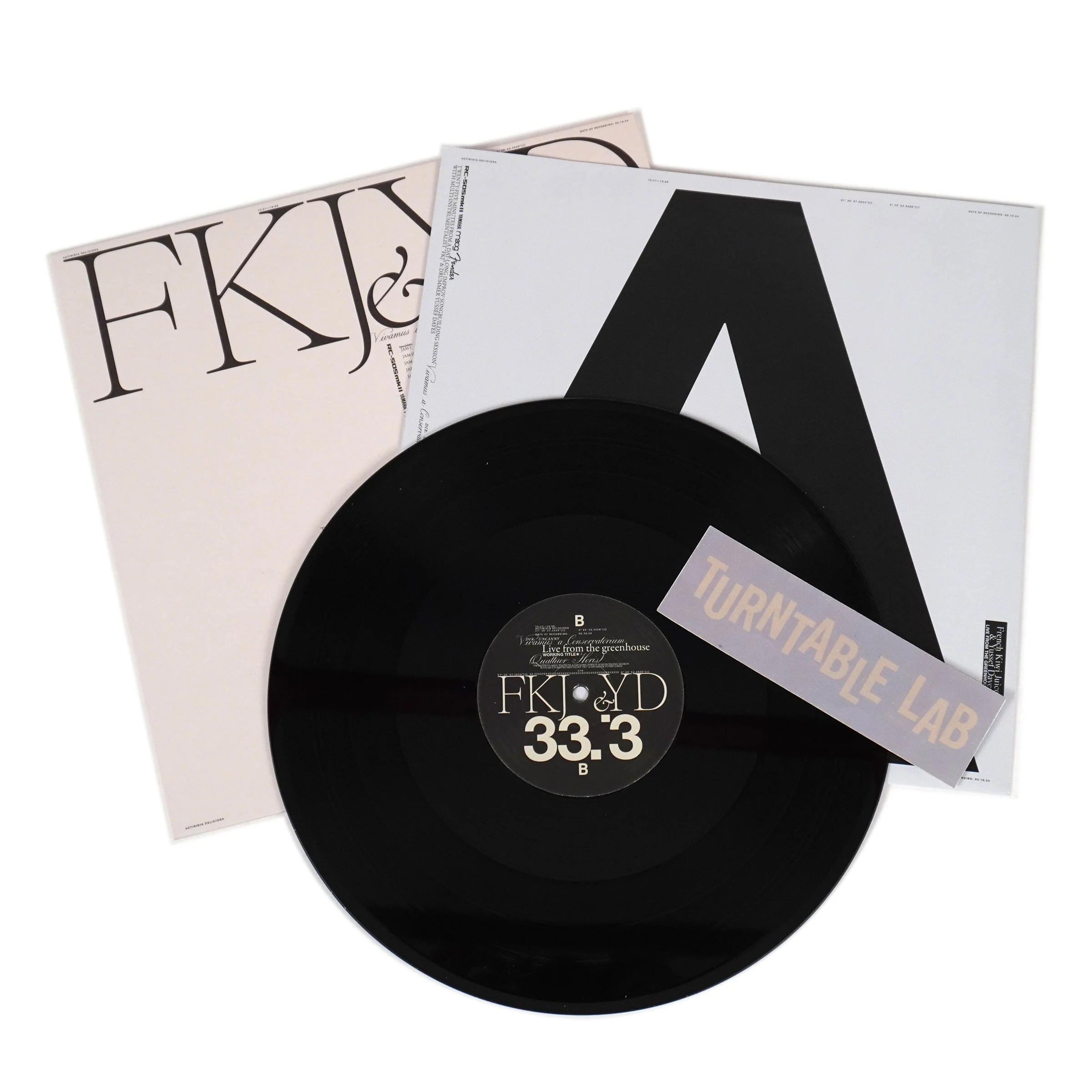 FKJ & Yussef Dayes: Live From the Greenhouse Vinyl LP - Image 2