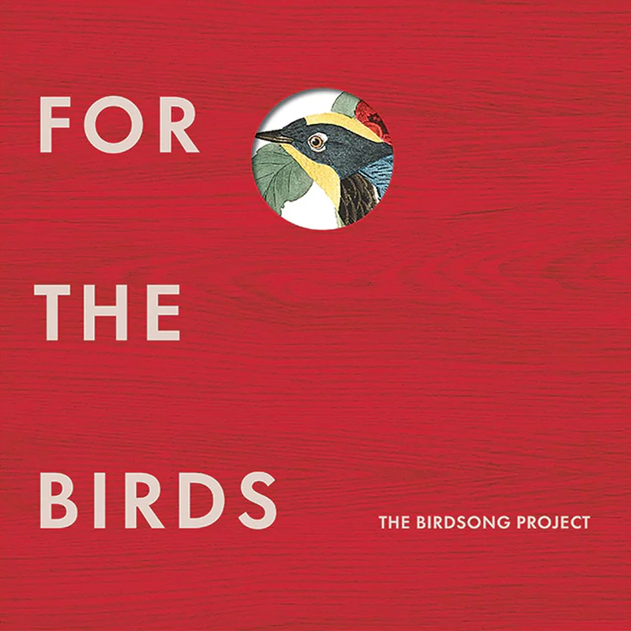 Audubon Society: For The Birds - The Birdsong Project Vinyl 20LP Boxset - Image 5