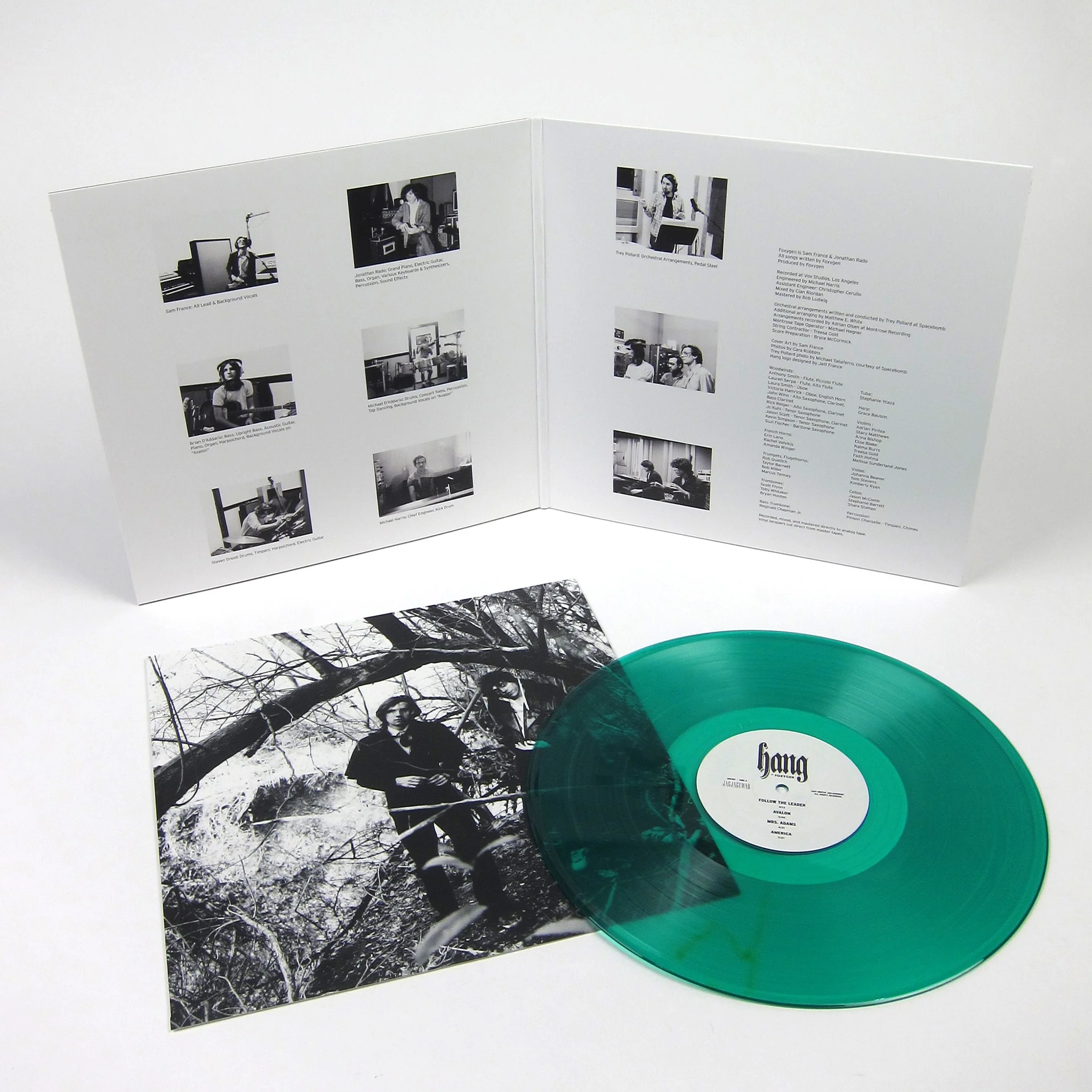 Foxygen: Hang (Colored Vinyl) Vinyl LP - Image 2