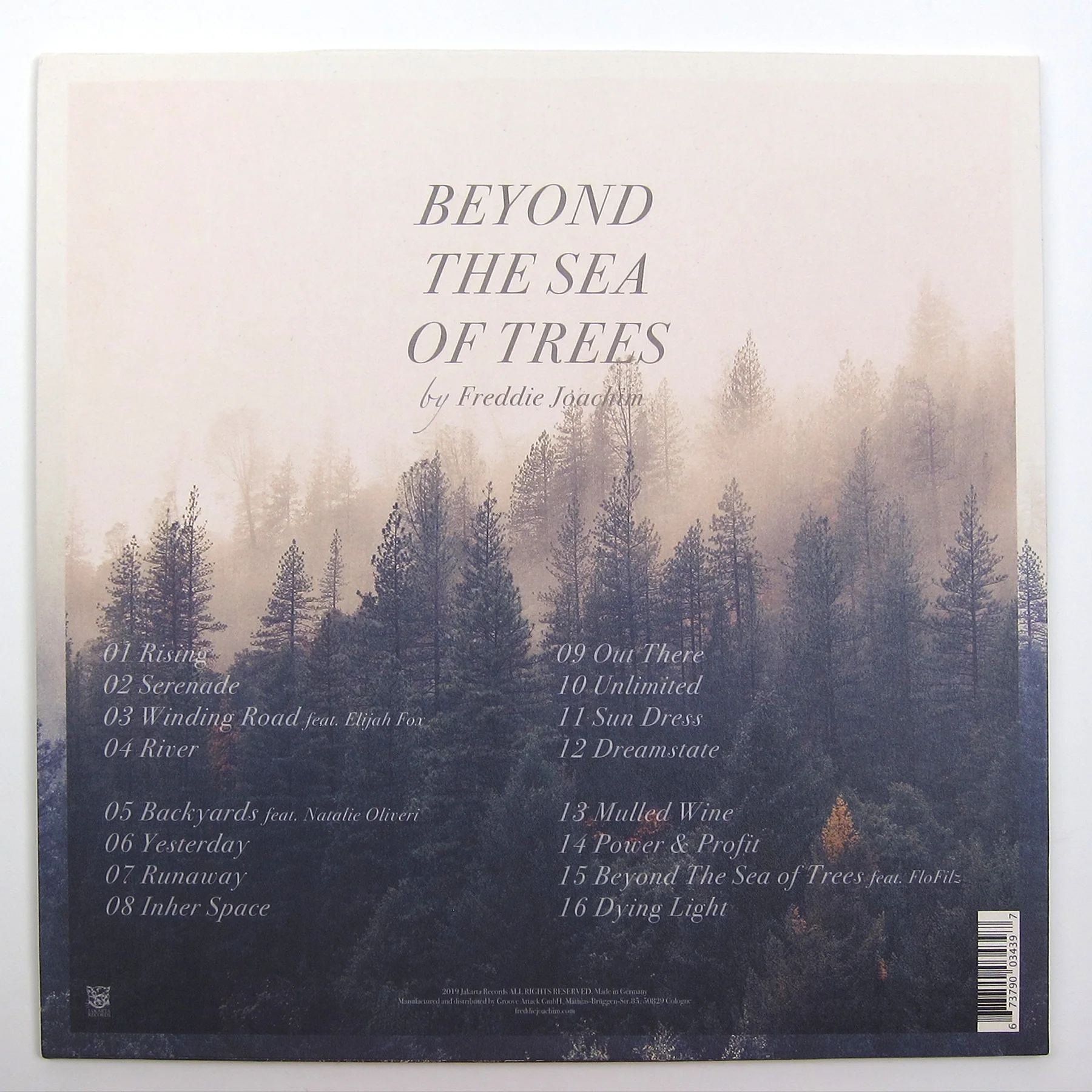 Freddie Joachim: Beyond The Sea Of Trees Vinyl 2LP - Image 3