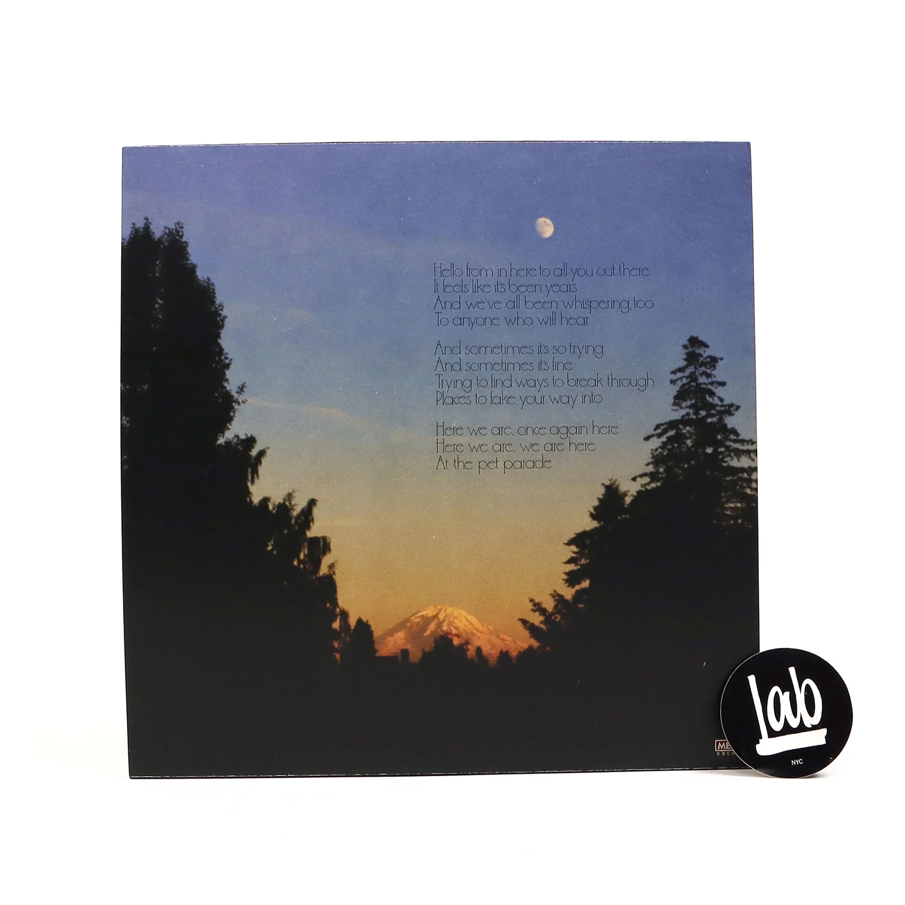 Fruit Bats: The Pet Parade (Indie Exclusive Colored Vinyl) Vinyl LP - Image 3