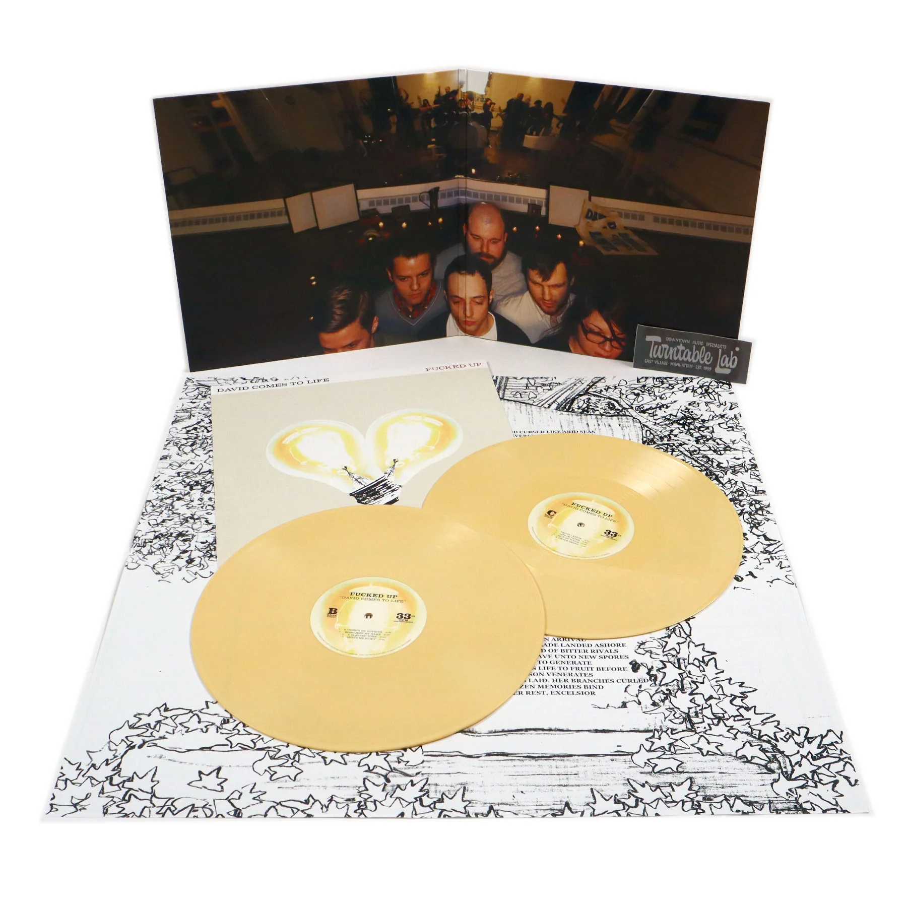 Fucked Up: David Comes To Life (Colored Vinyl) Vinyl 2LP - Image 2