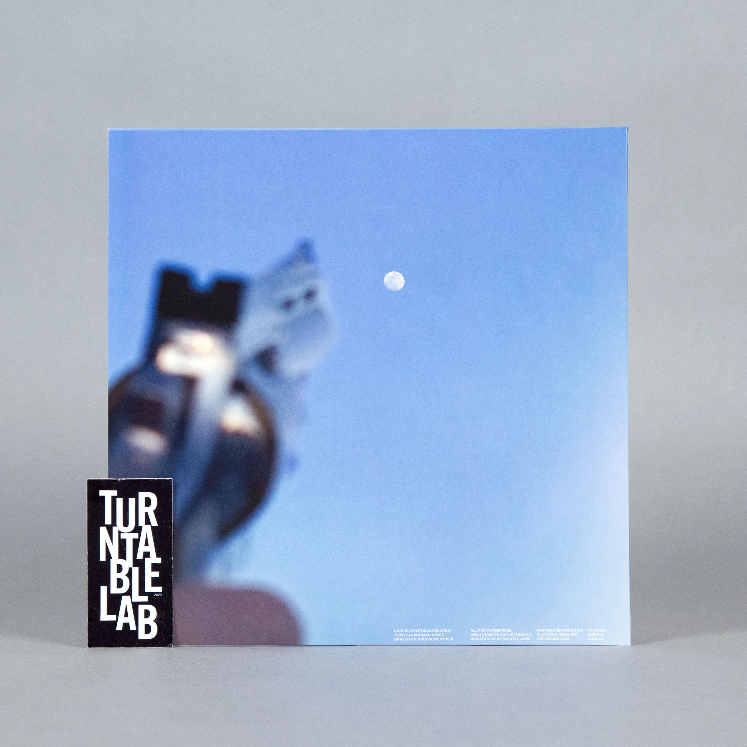 Geese: Getting Killed (Colored Vinyl) Vinyl LP - Turntable Lab Exclusive - LIMIT 1 PER CUSTOMER - Image 4