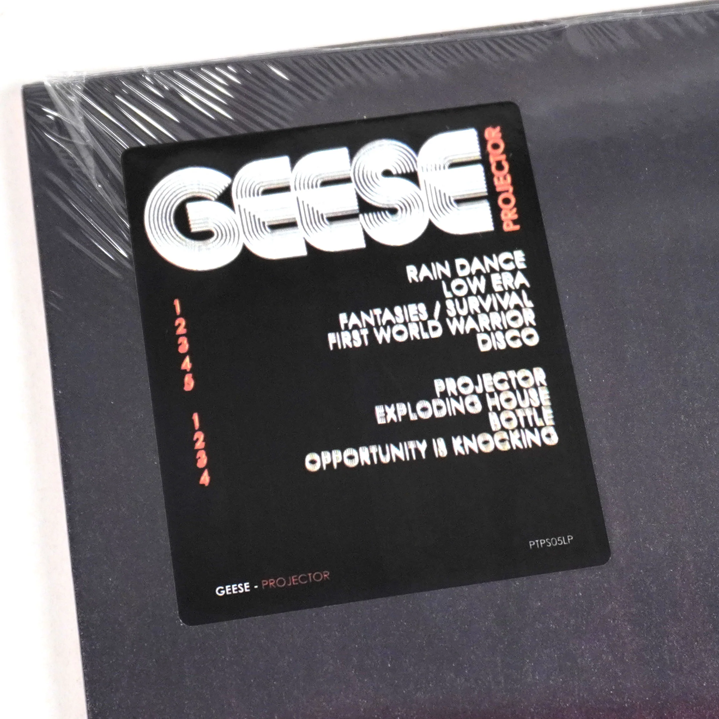 Geese: Projector Vinyl LP - Image 4