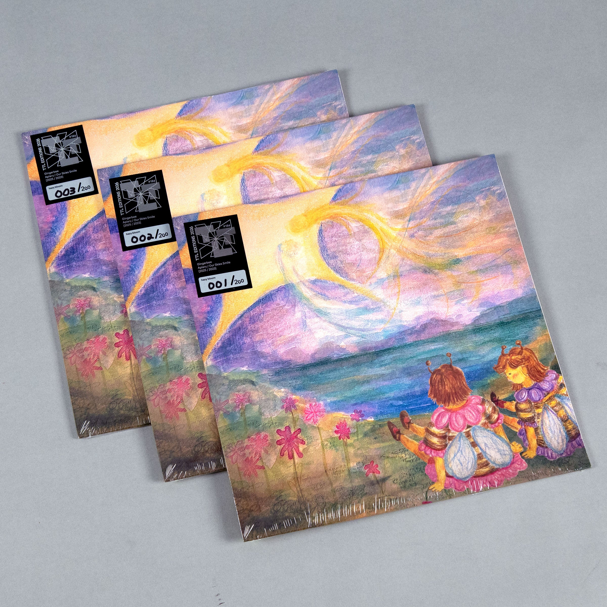 Gingerbee: Apiary / Our Skies Smile (Colored Vinyl) Vinyl LP - Turntable Lab Exclusive - LIMIT 1 PER CUSTOMER - Image 7