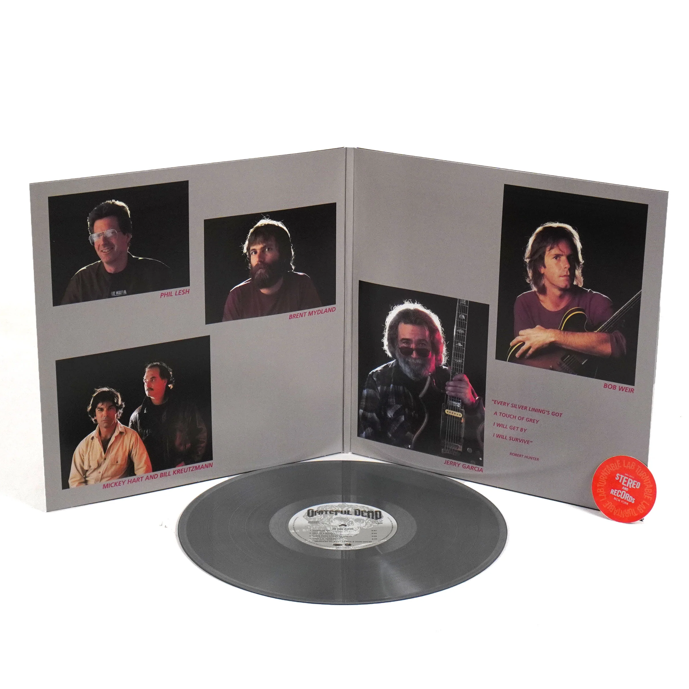 Grateful Dead: In The Dark (Colored Vinyl) Vinyl LP - Image 2