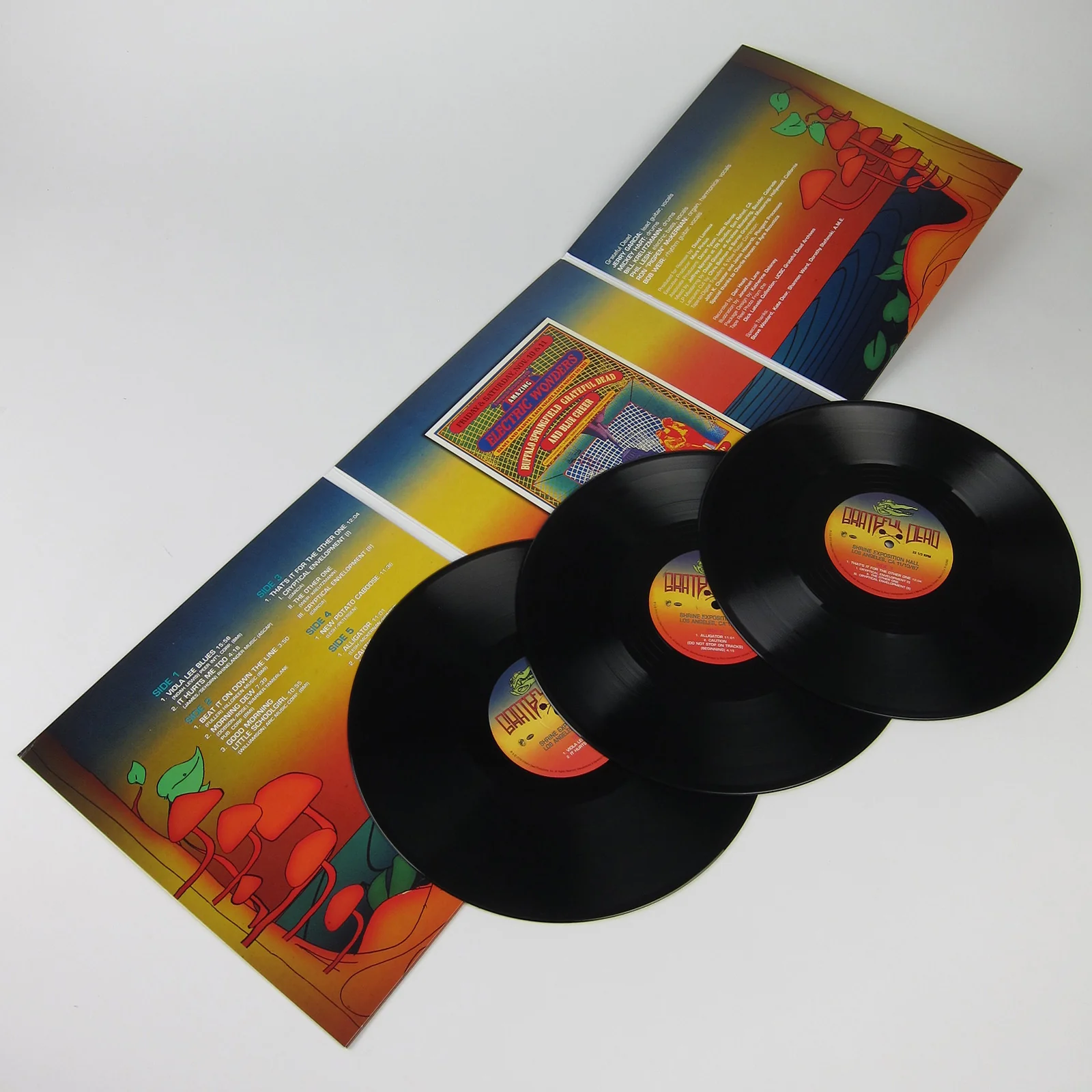 Grateful Dead: Shrine Auditorium, Los Angeles 11/10/1967 (180g) Vinyl 3LP - Image 2