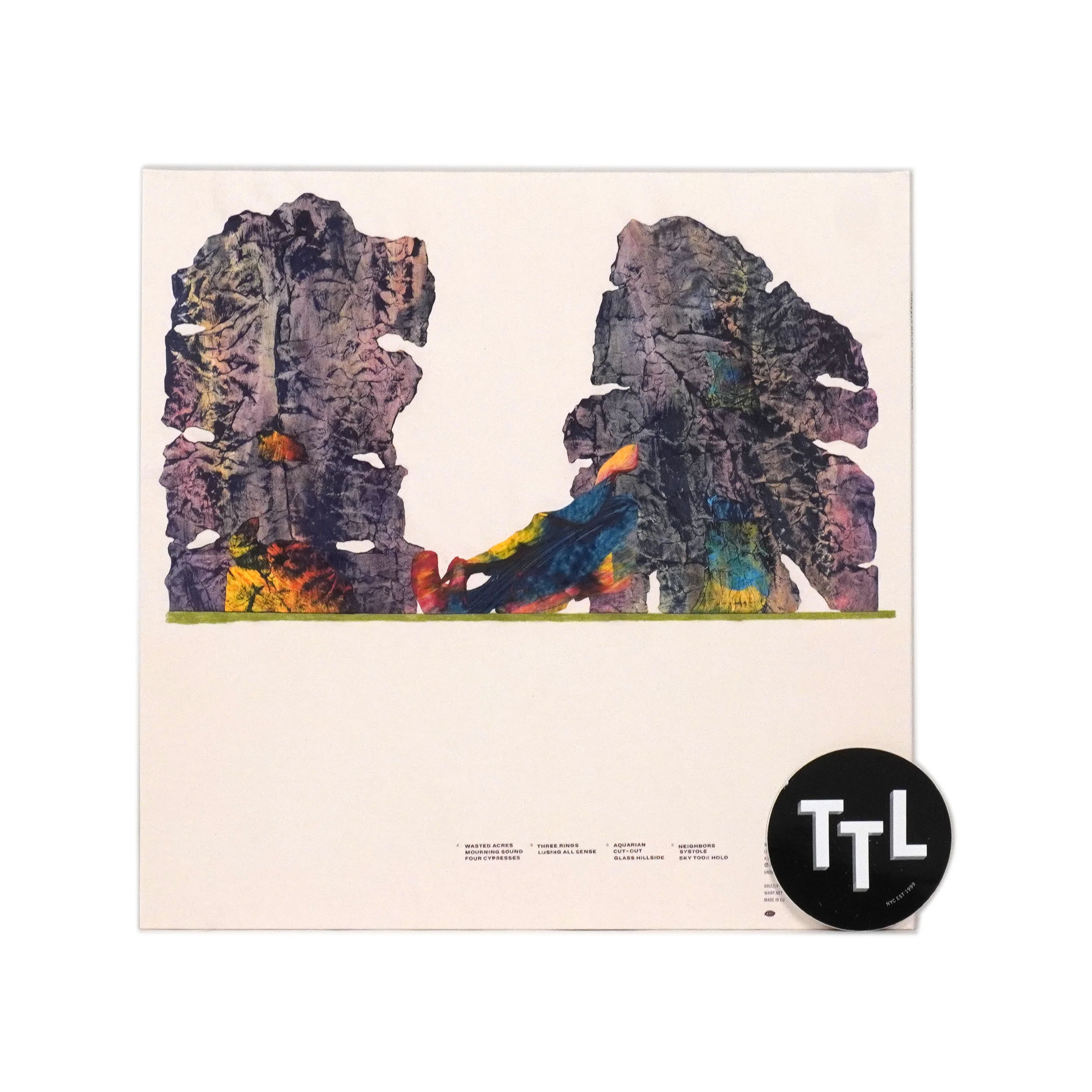 Grizzly Bear: Painted Ruins (Colored Vinyl) Vinyl 2LP - Image 3